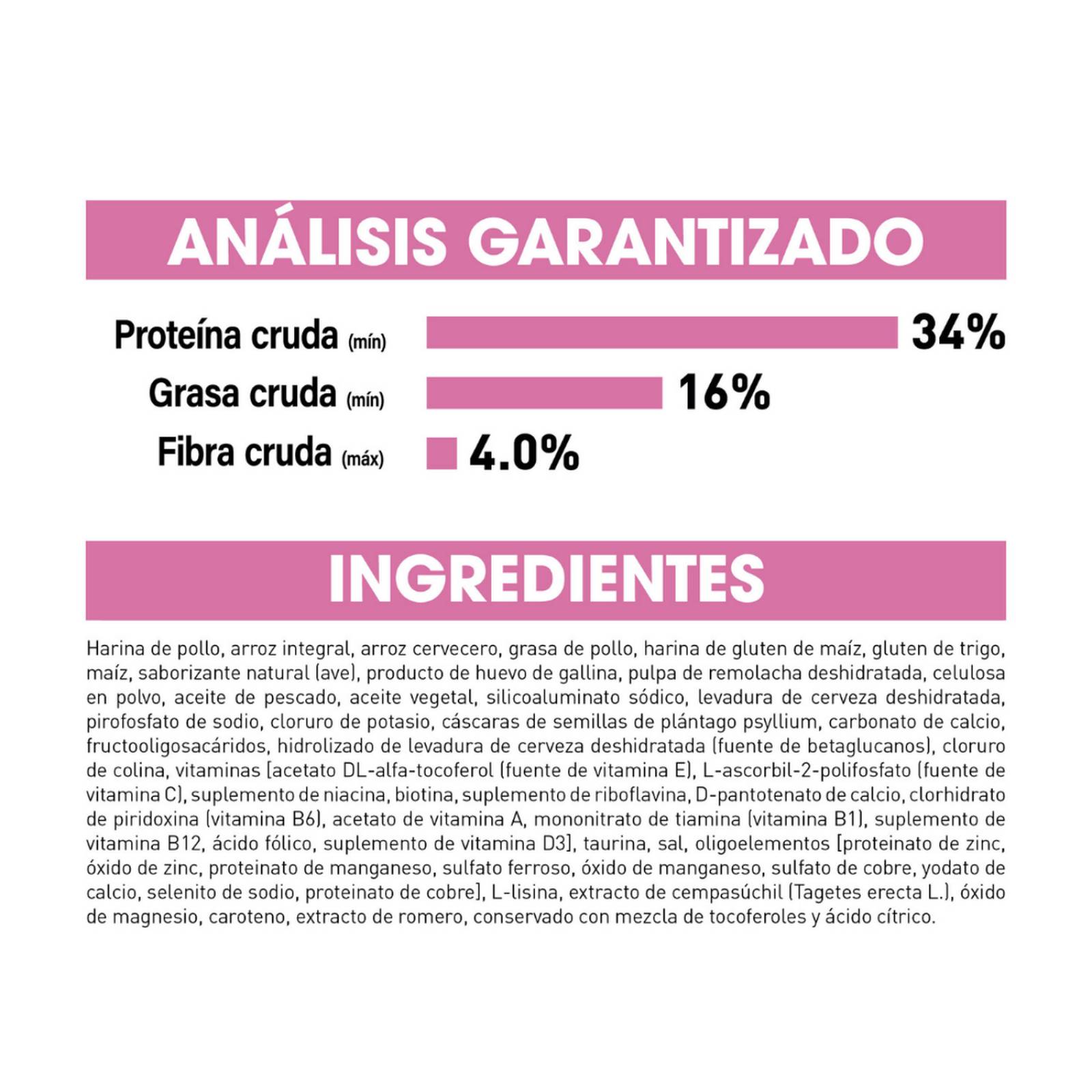 Croquetas para gato Royal Canin Kitten 1.5Kg 