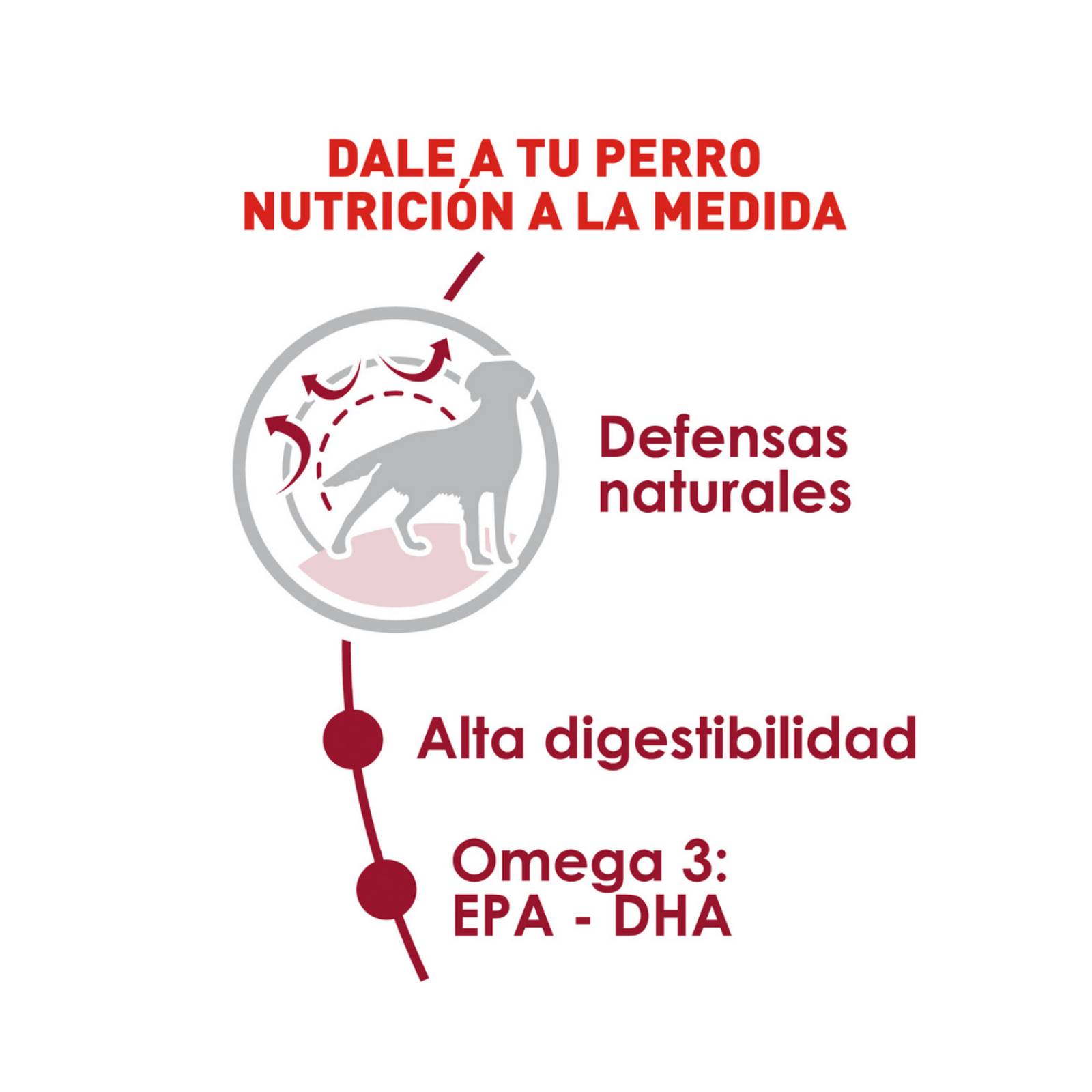 Croquetas para perro Royal Canin Medium Adult 13.6Kg