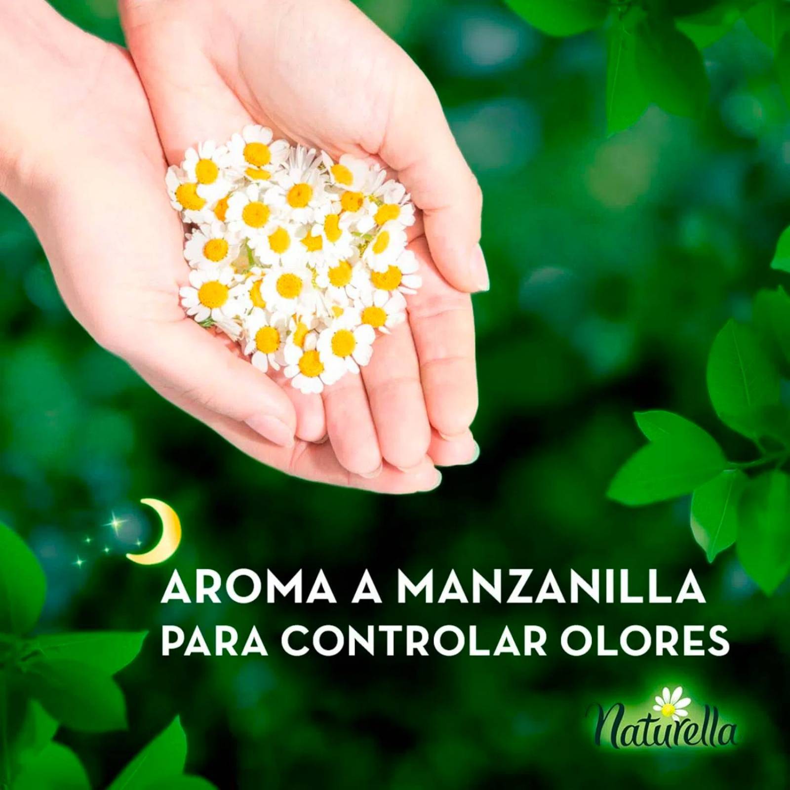 Toallas Femeninas Naturella Nocturna con Alas 14 piezas 