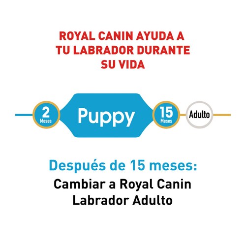 Croquetas para perro Royal Canin Labrador Retriever Puppy 13.6Kg 