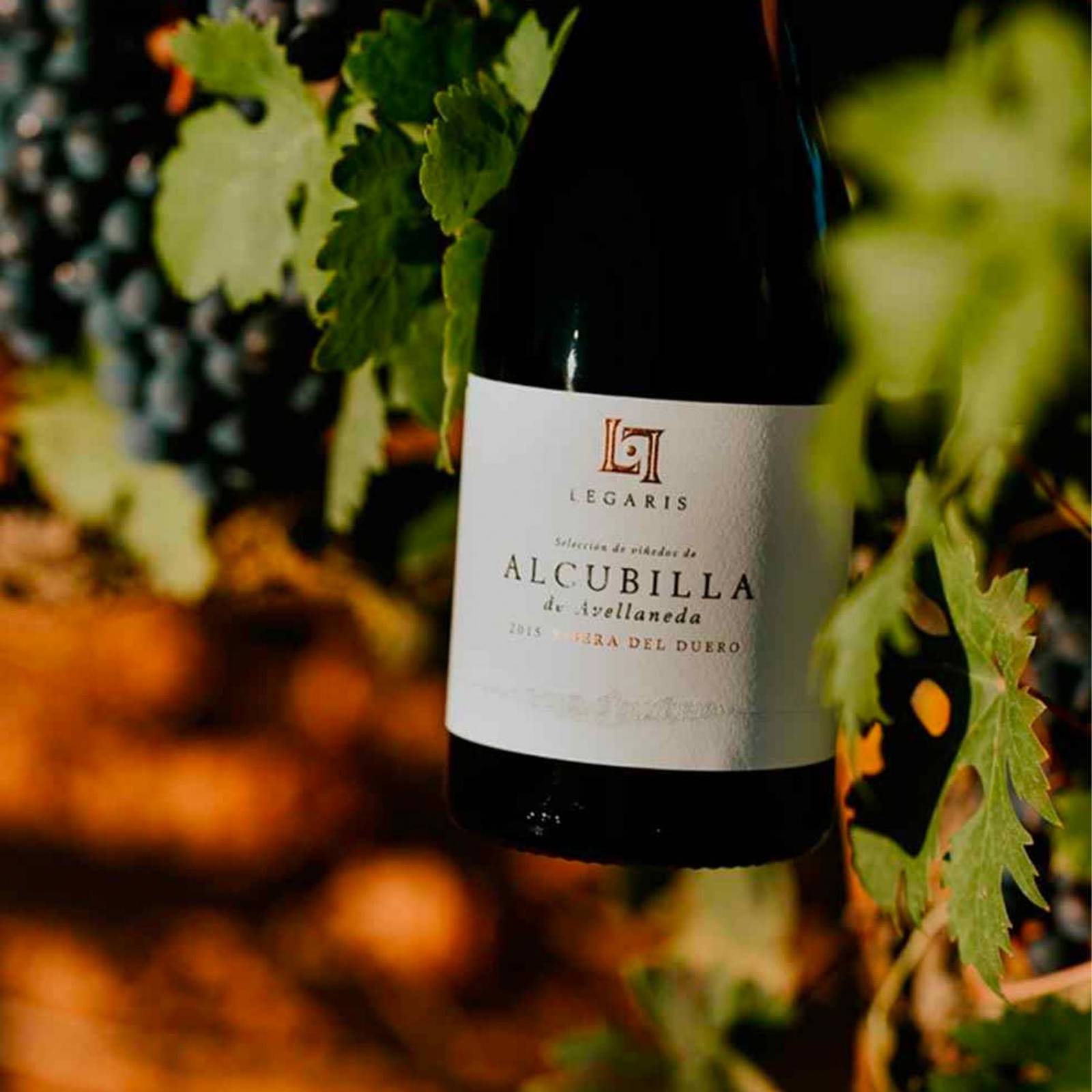 Vino Tinto Legaris Alcubilla de Avellaneda 750 ml 