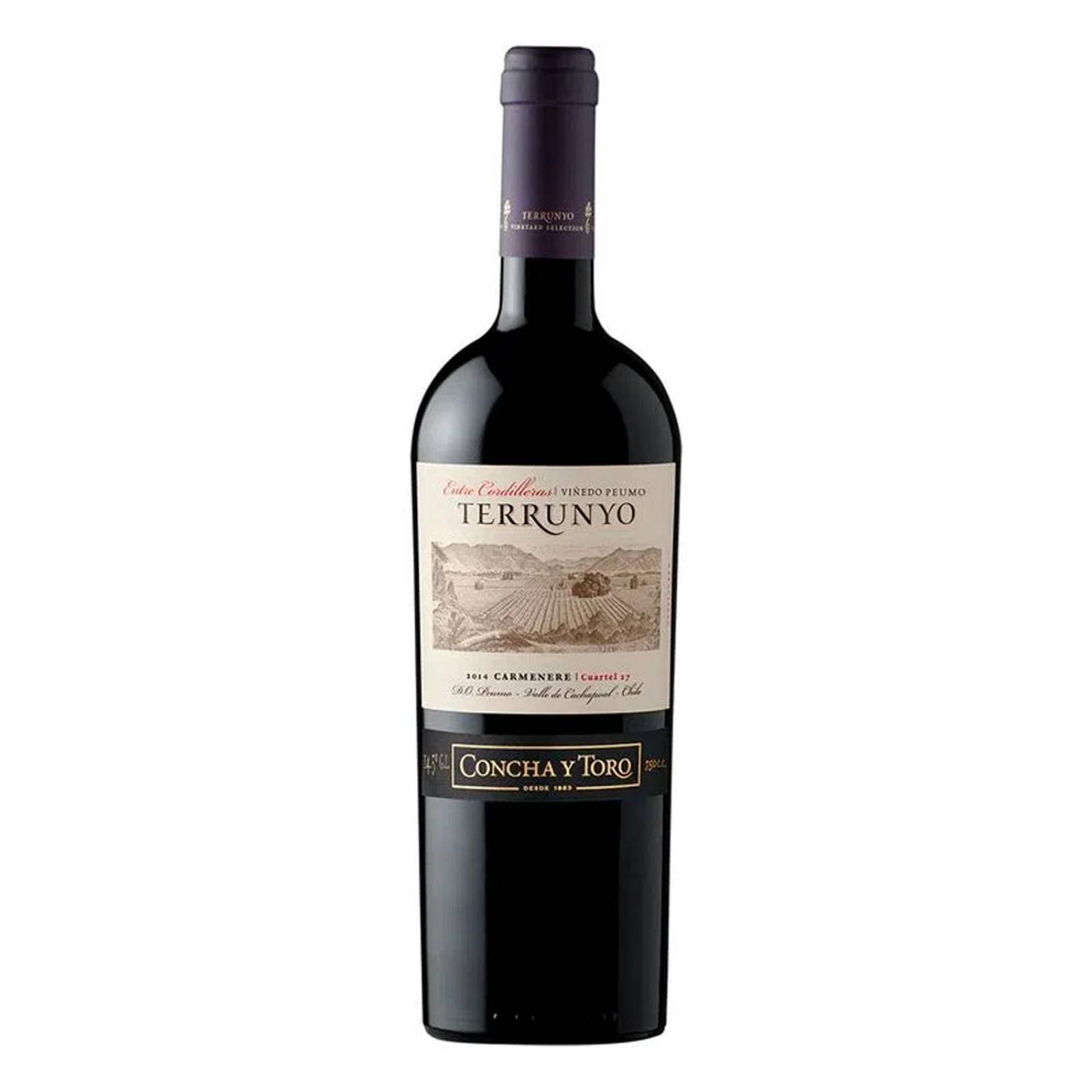 Pack de 4 Vino Tinto Terrunyo Carmenere 750 ml 