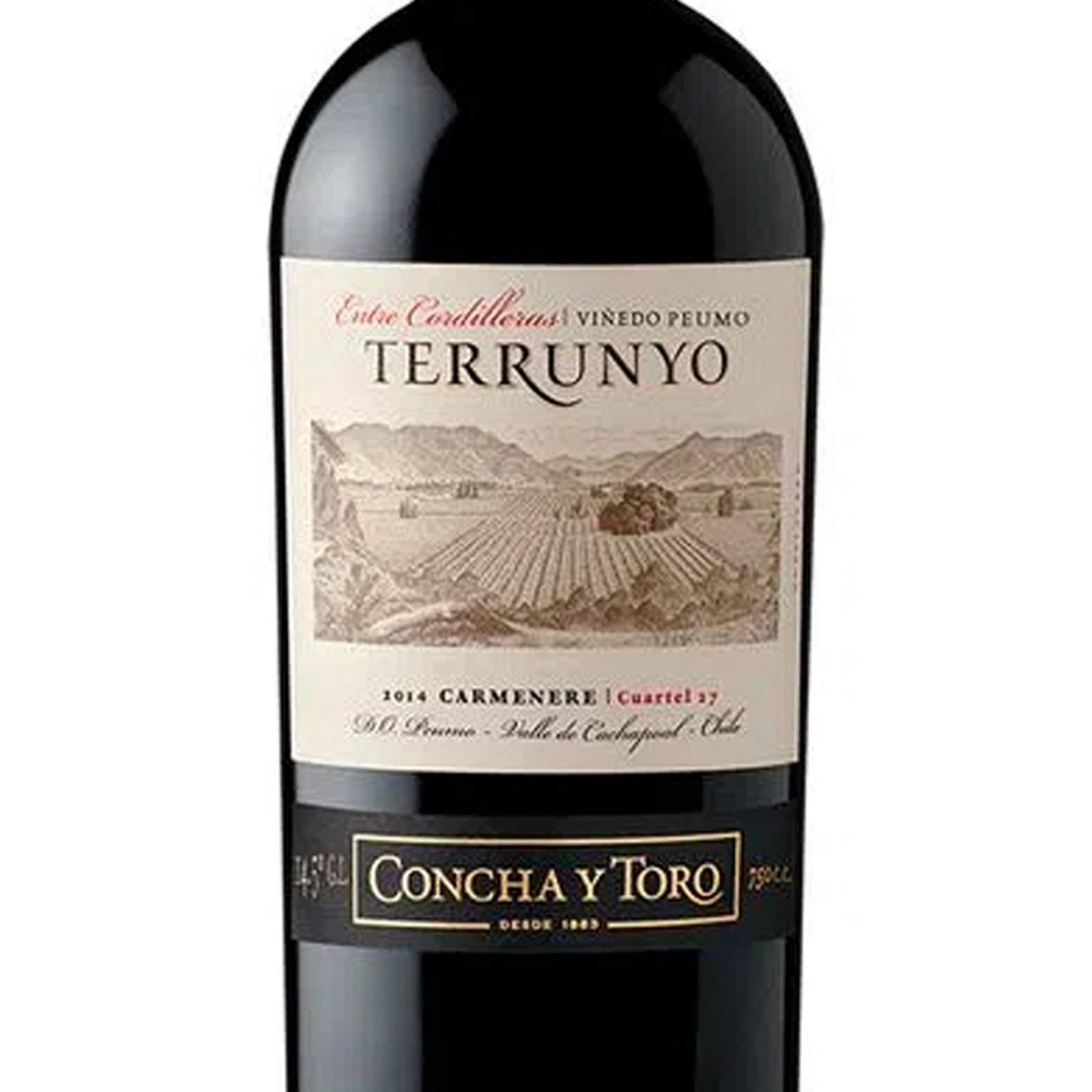 Pack de 4 Vino Tinto Terrunyo Carmenere 750 ml 