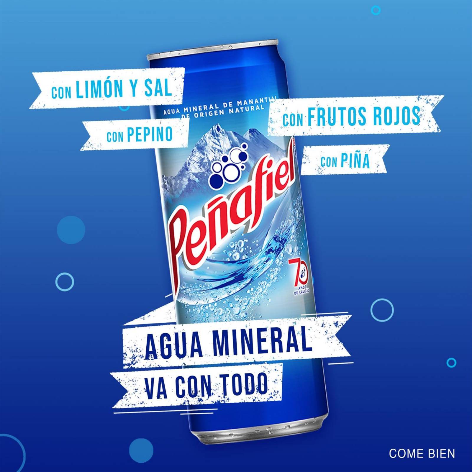 Agua Mineral Peñafiel Lata 355 ml 