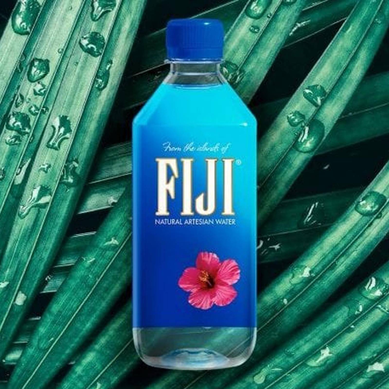 Agua Fiji 500 ml 