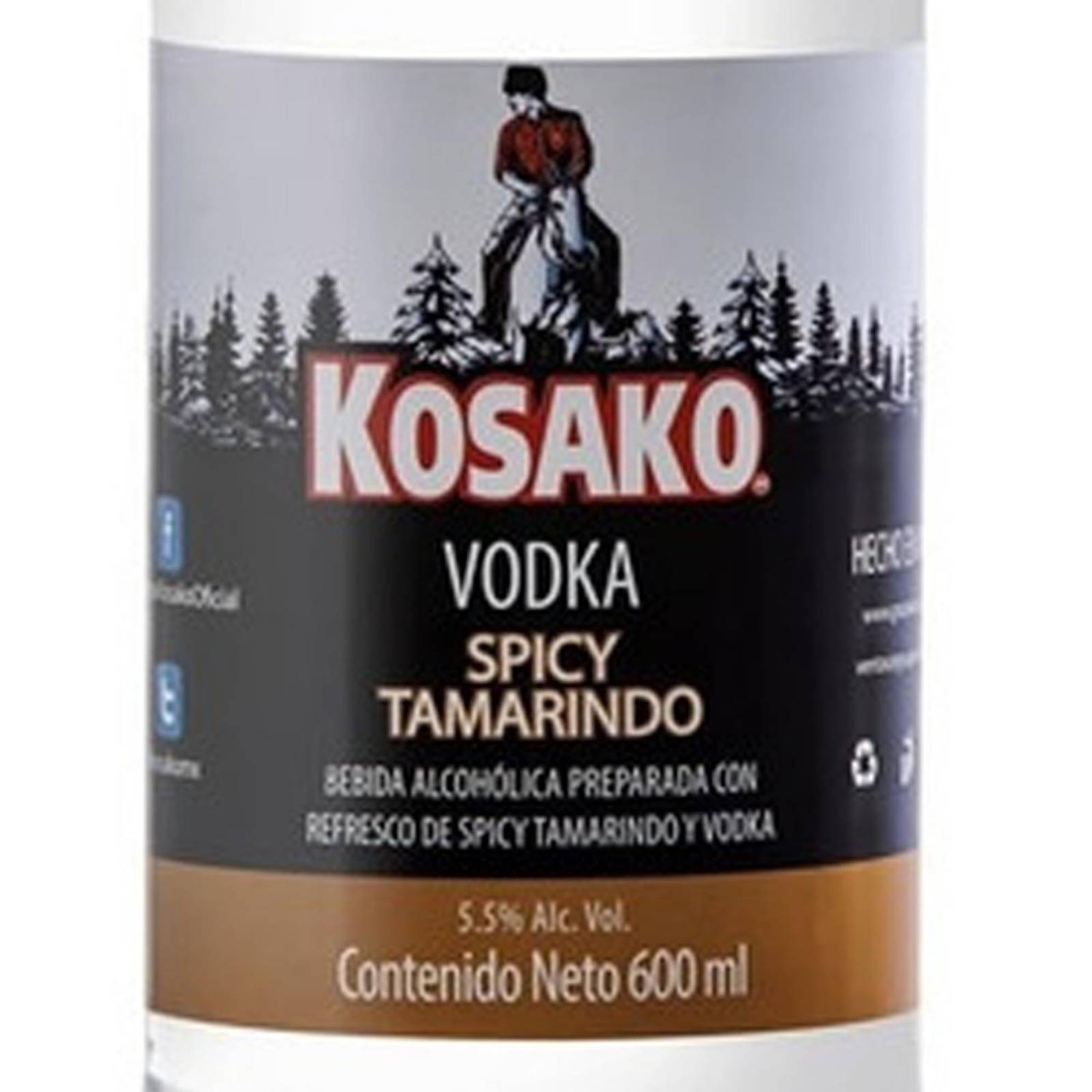 Fusión Kosako Spicy Tamarindo Pet 600 ml