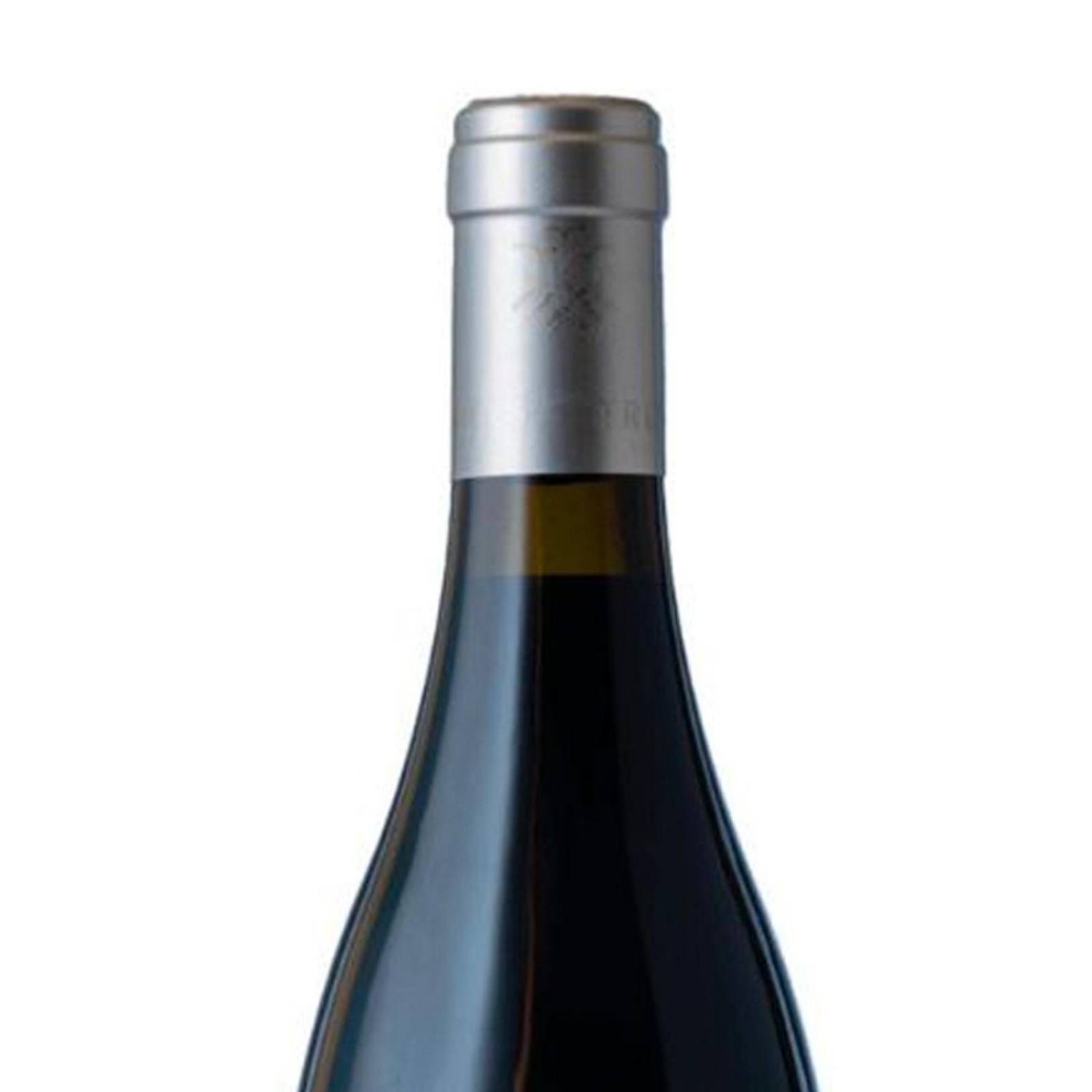 Pack de 2 Vino Tinto Tres Raíces Tinto de Verano 750 ml 