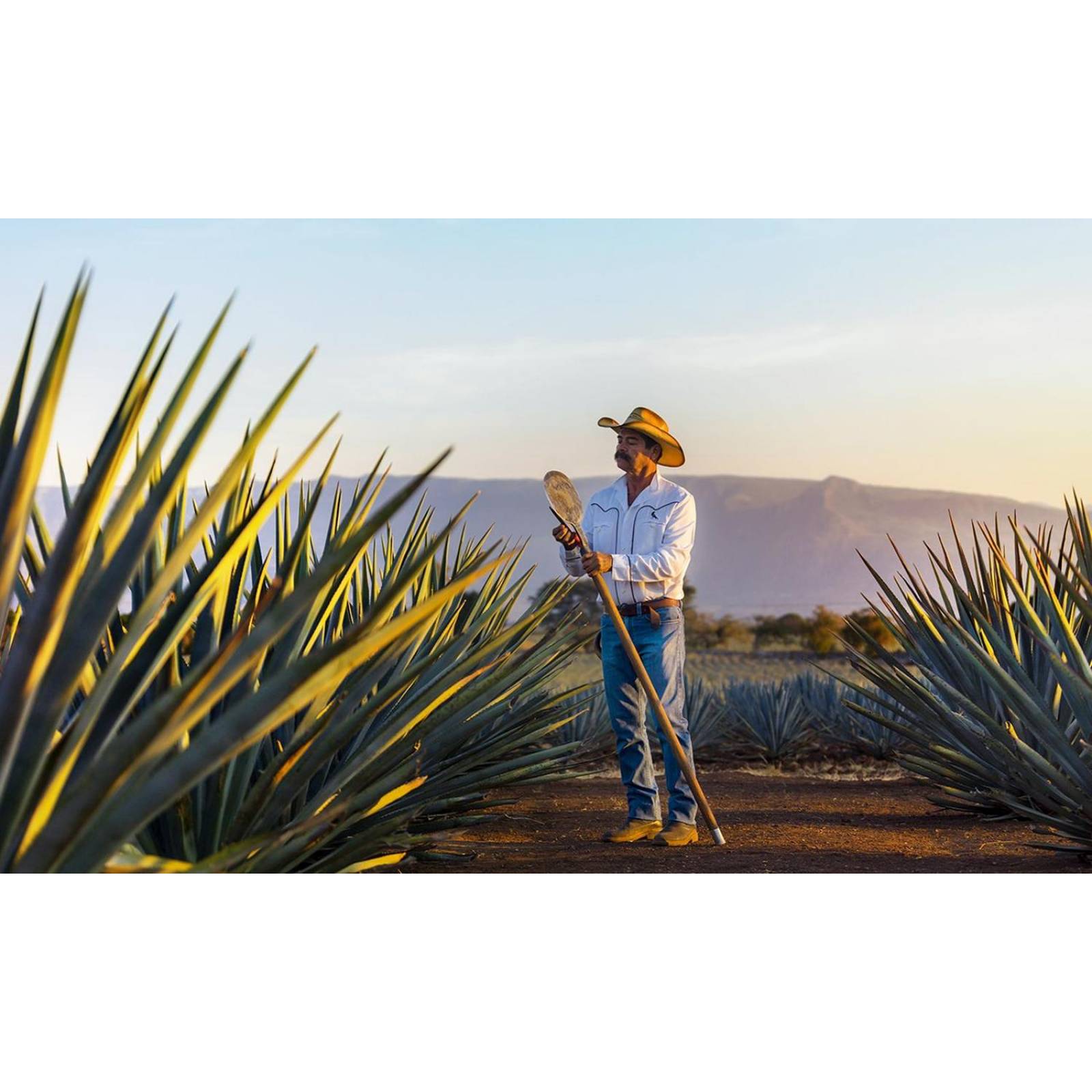 3x2 Tequila Herradura Plata 700 ml 