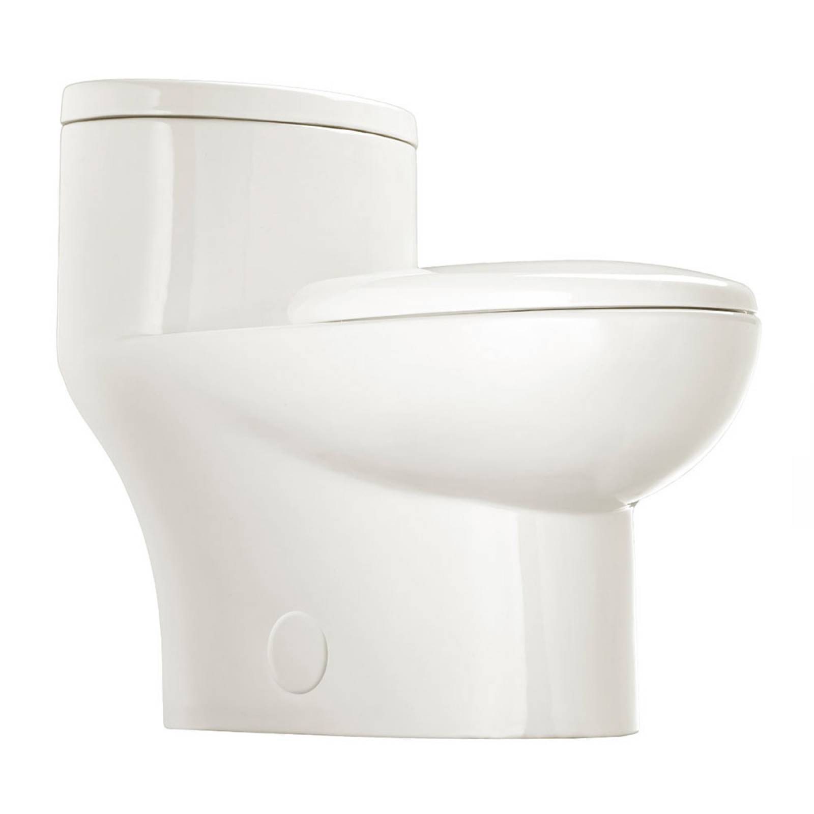 Sanitario de 1 pieza tofino