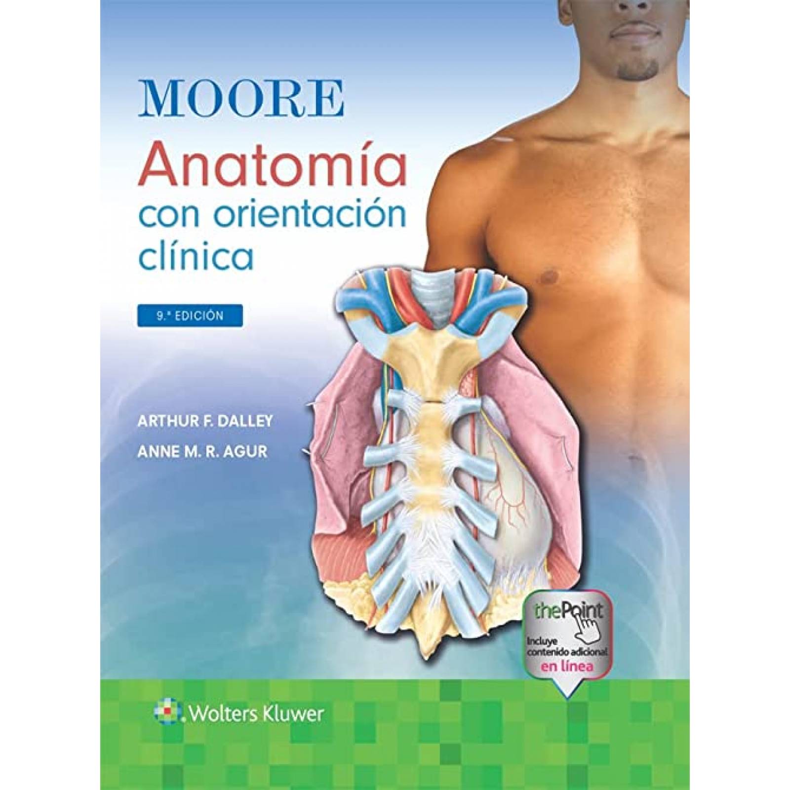 Moore Anatomía Con Orientación Clínica / 9ed.