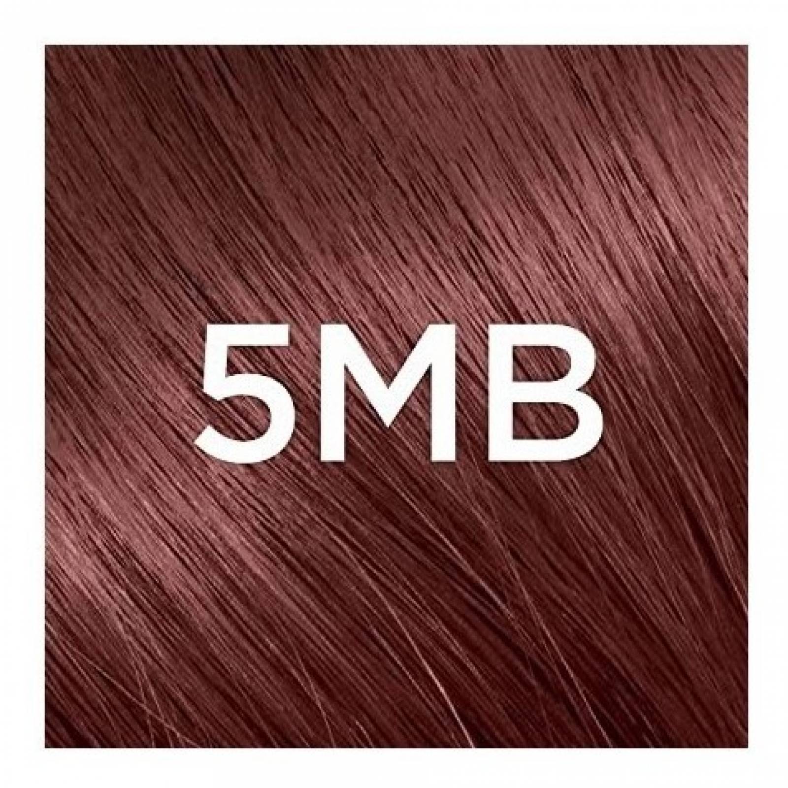 Tinte De Cabello L'oreal Superior Preference