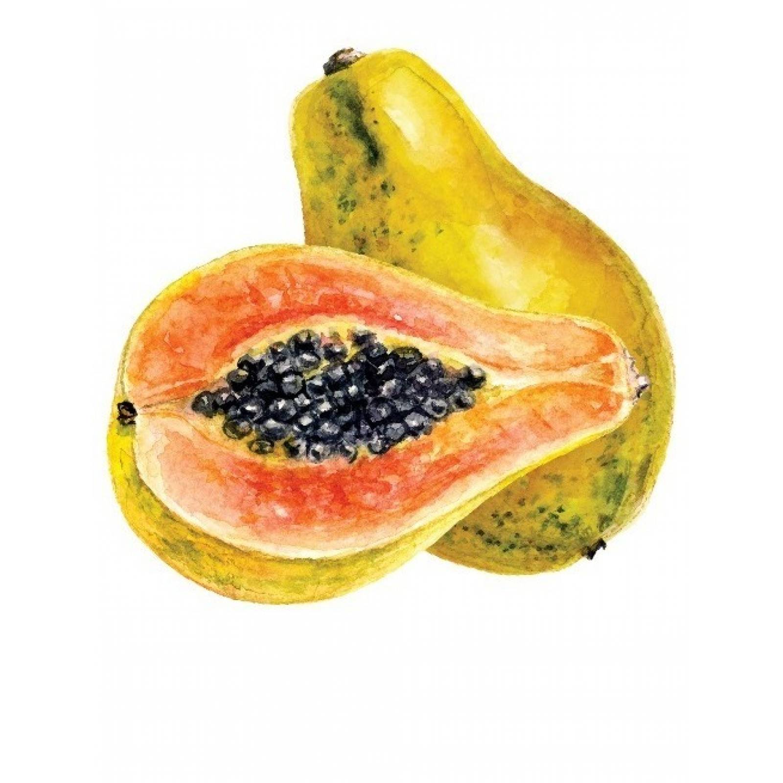 Balsamo Labial Paw Paw Soothes 12ml