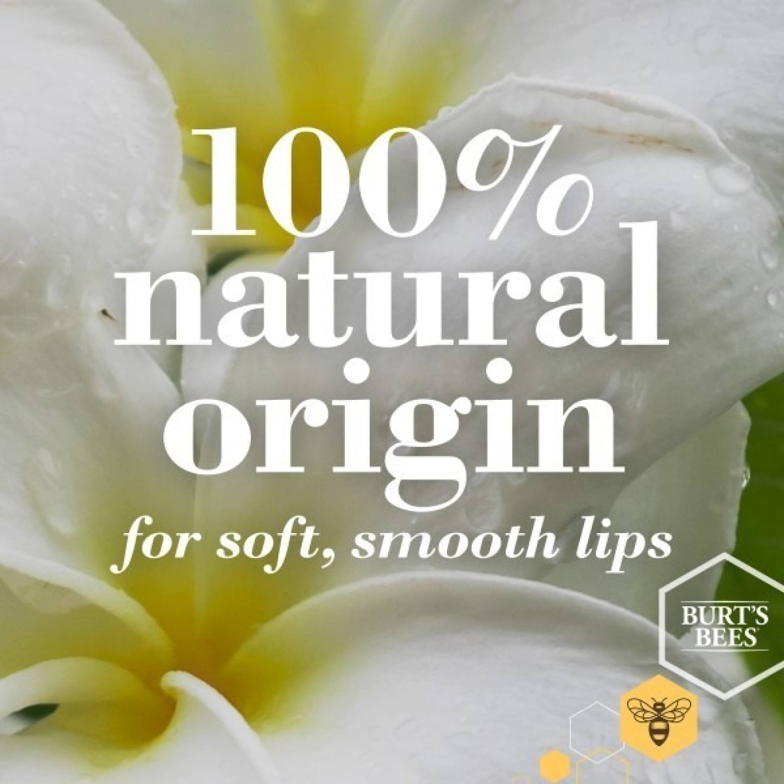 Brillo De Labios Burts Bees Lip Gloss 141g