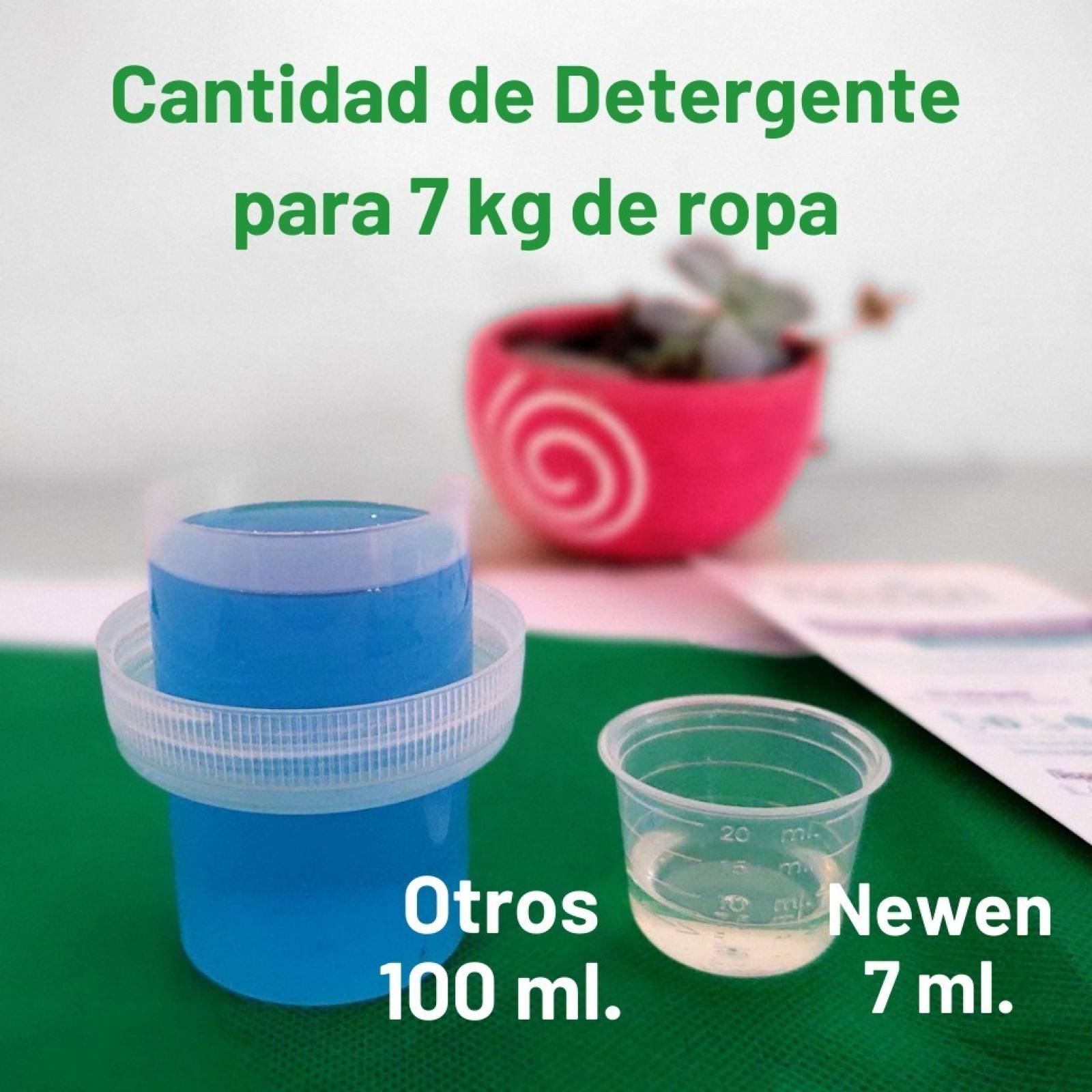 Newen 250ml Detergente He Alta Eficienia Neutro Sin Enjuague