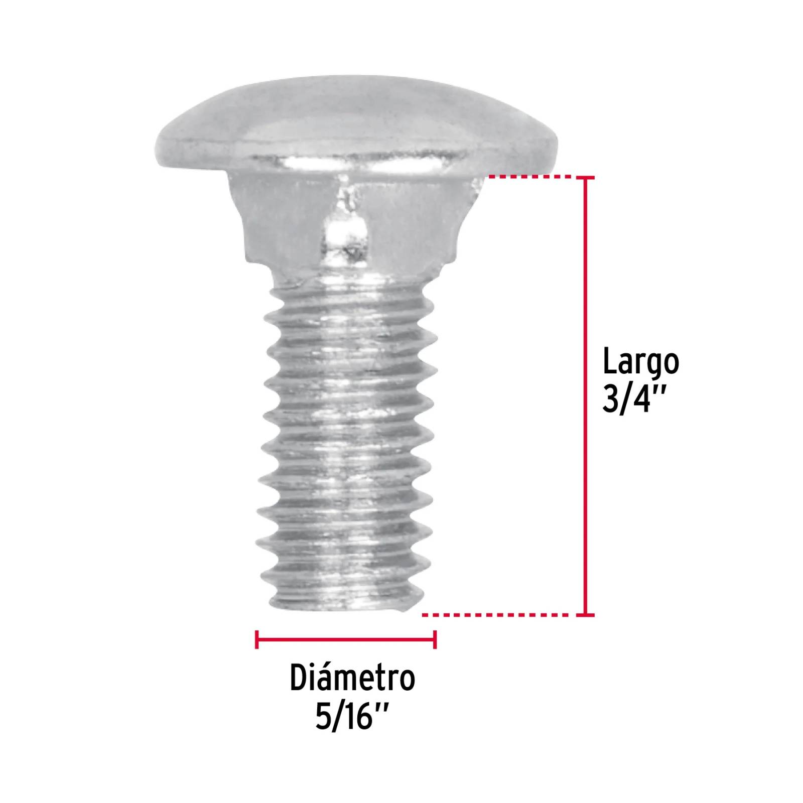 Tornillo tipo coche, galvanizado, 5/16 X 3/4", 80 piezas