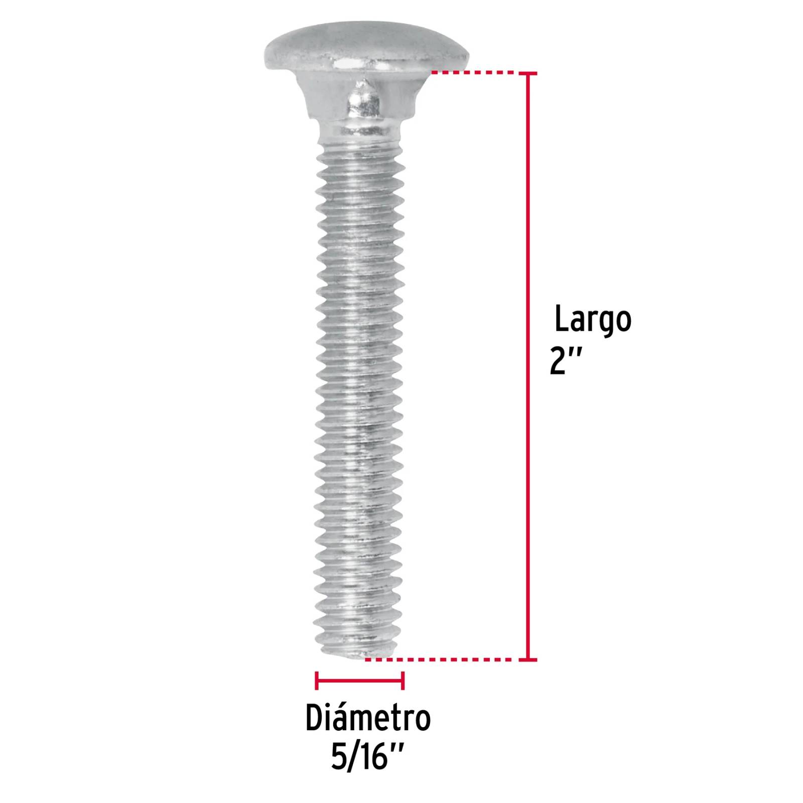 Tornillo tipo coche, galvanizado, 5/16 X 2", 80 piezas
