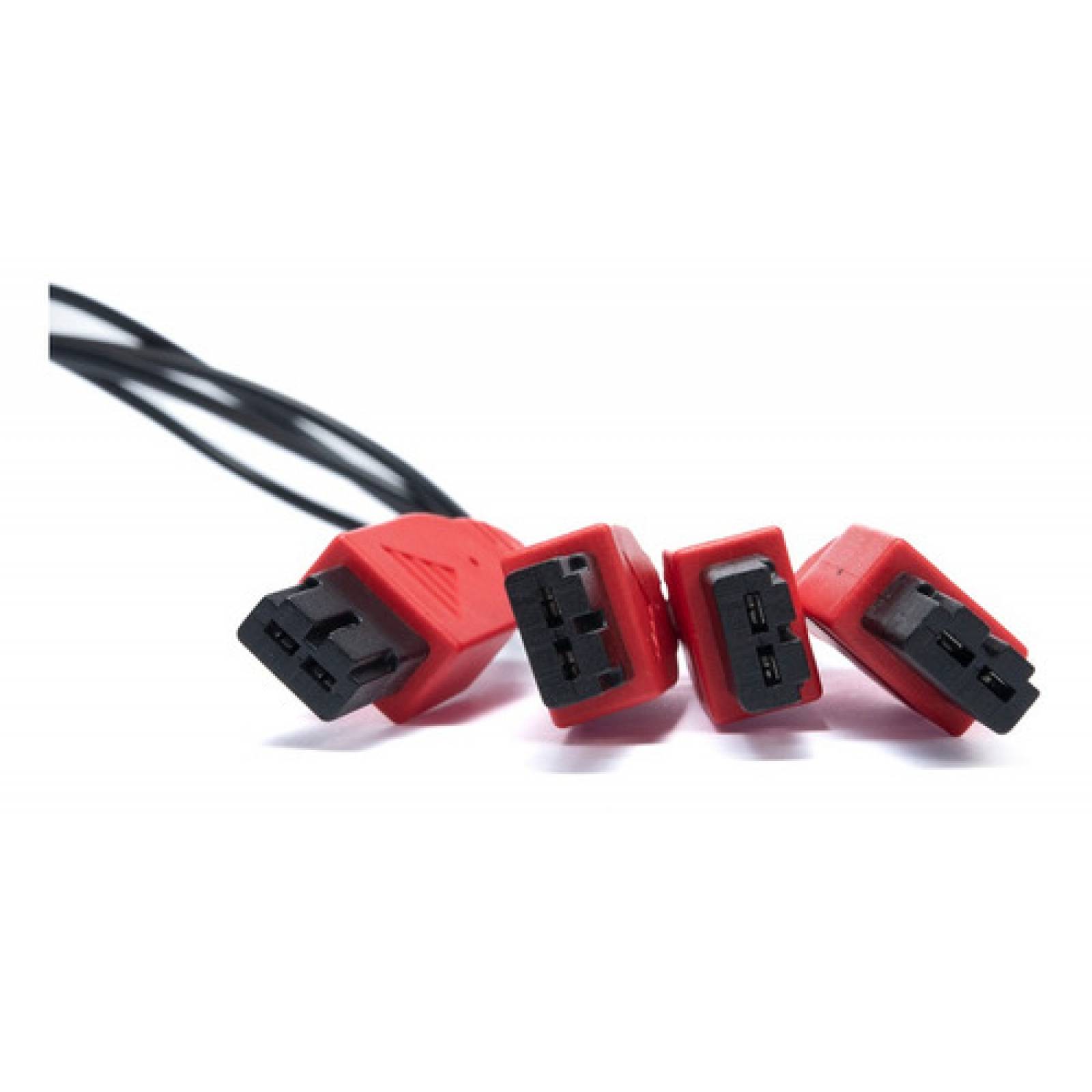 Arnes Inyector Lab 4 Gdi