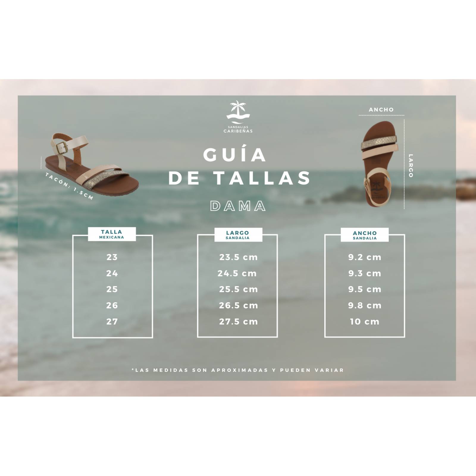 Sandalias Caribenas Aruba Plata Mujer Casual Playa Huarache