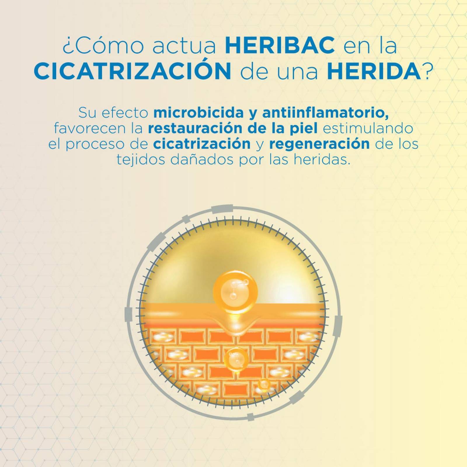 Heribac Aceite 150 Ml 