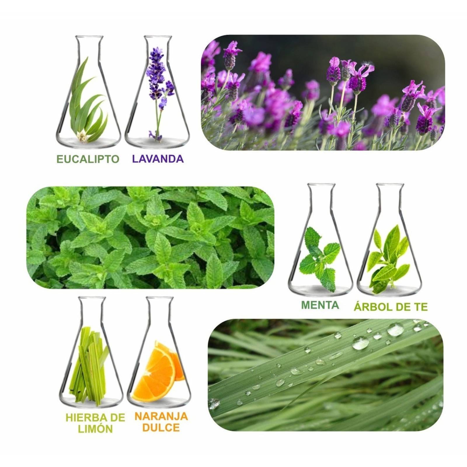 Kit Aceites Esenciales 6 Esencias Aromas Para Difusor