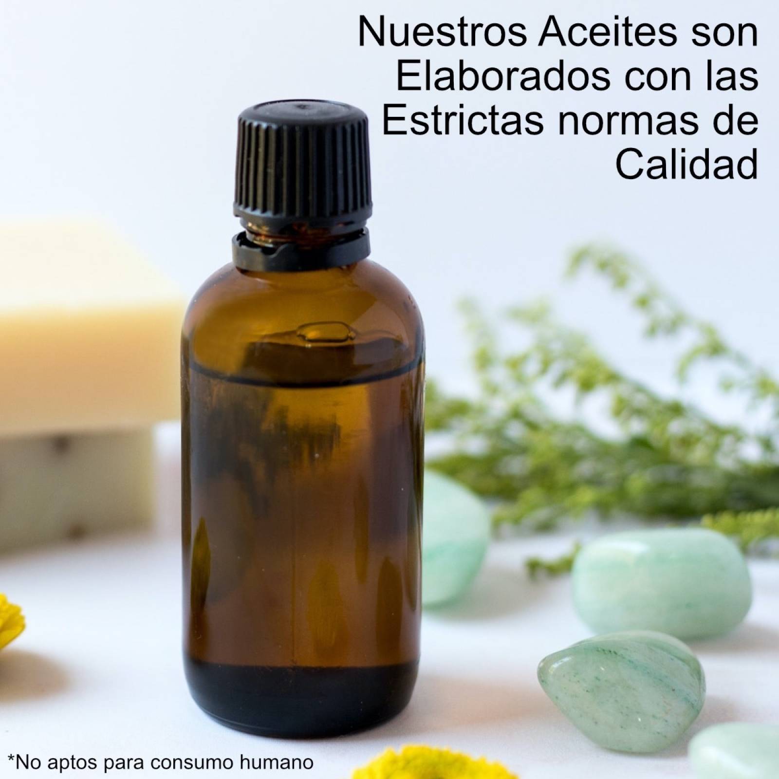 Kit Aceites Esenciales 6 Esencias Aromas Para Difusor