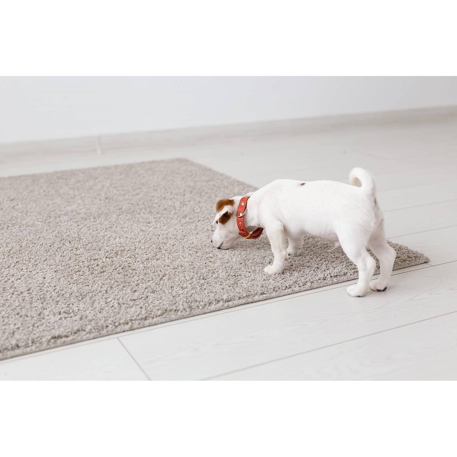 Tapete Entrenador para Perros Rápida absorción Almohadillas