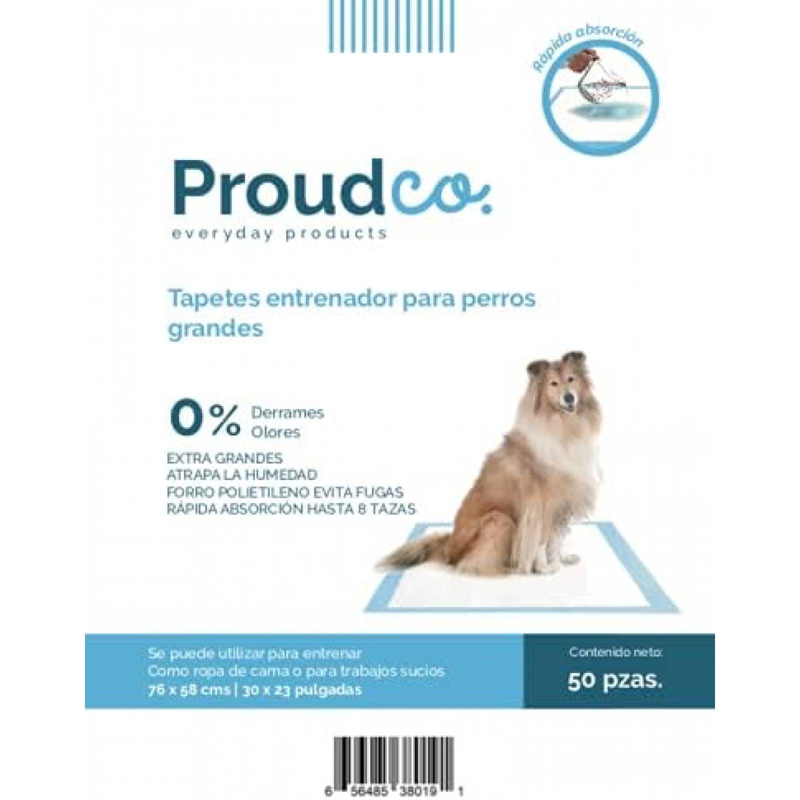 Tapete Entrenador Para Perro Dry Pet 30 Pzas