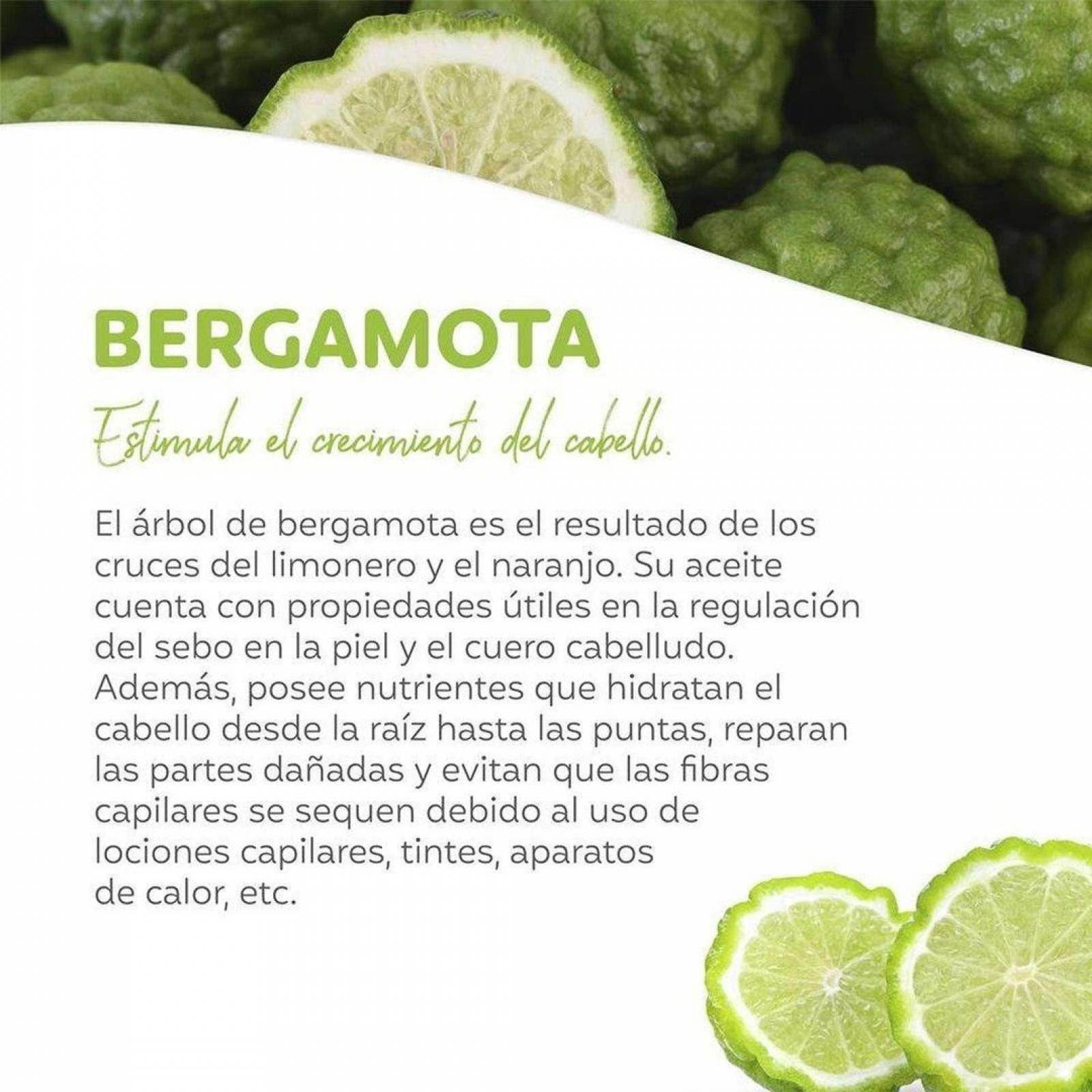 Jabón Bergamota Efectivo Para Barba, Bigote y Cuerpo 5 piezas, Estimula Crecimiento, Antiséptico Con Ingredientes Naturales Activos, Dermolimpiador Neutral, Con Armora Herbal.