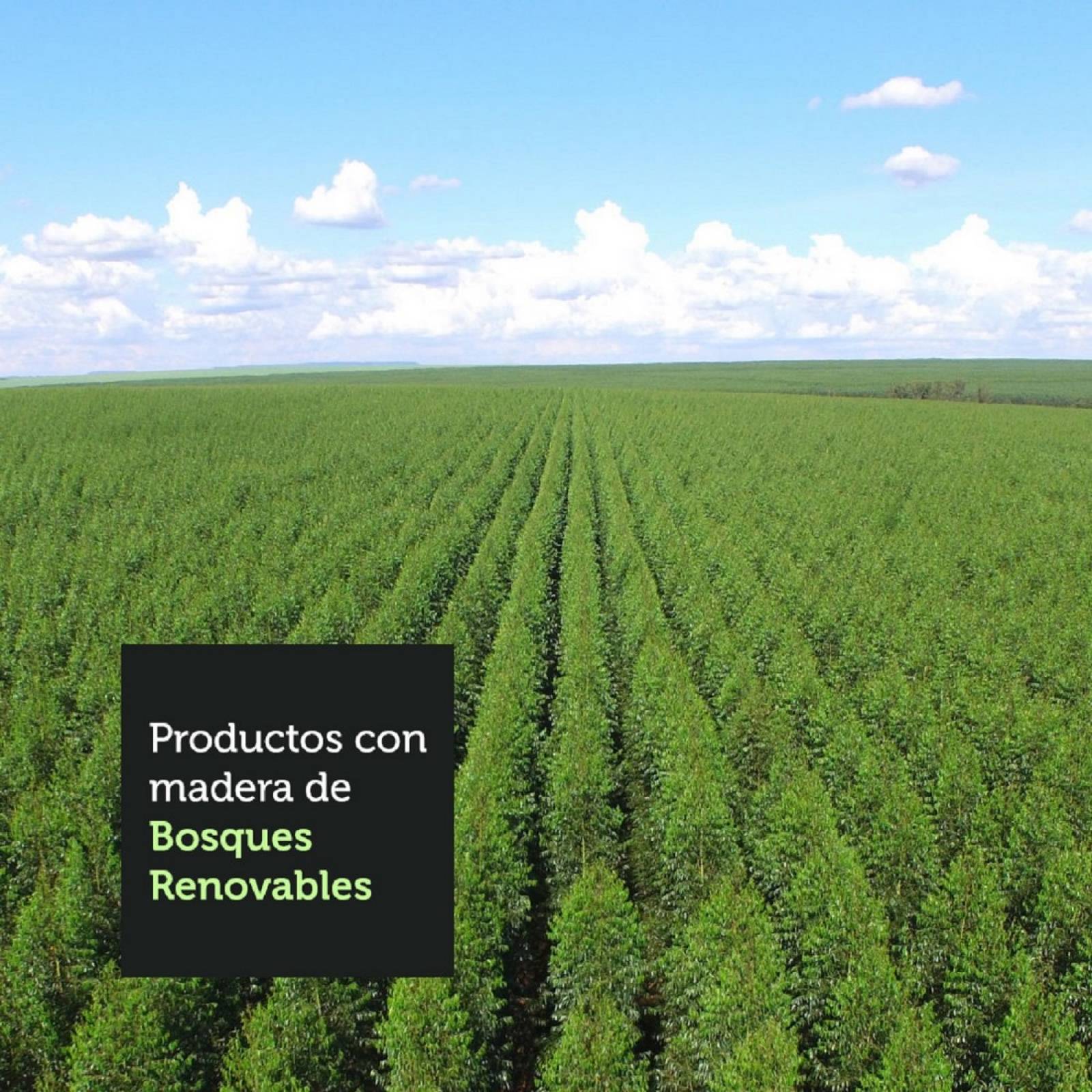 Ropero Madesa Reno 3 Puertas Correderas Marrón