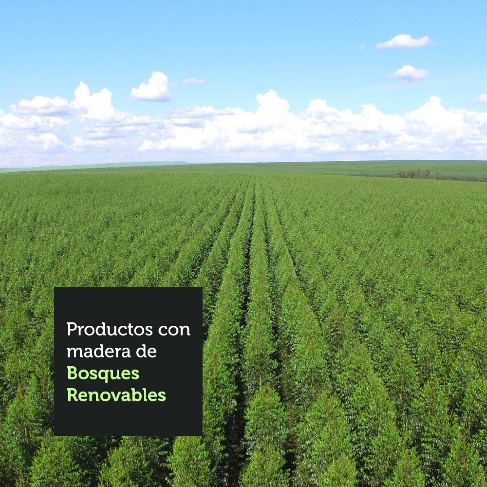 Cocina Integral Completa Modular Madesa Glamy Con Tarja BM.