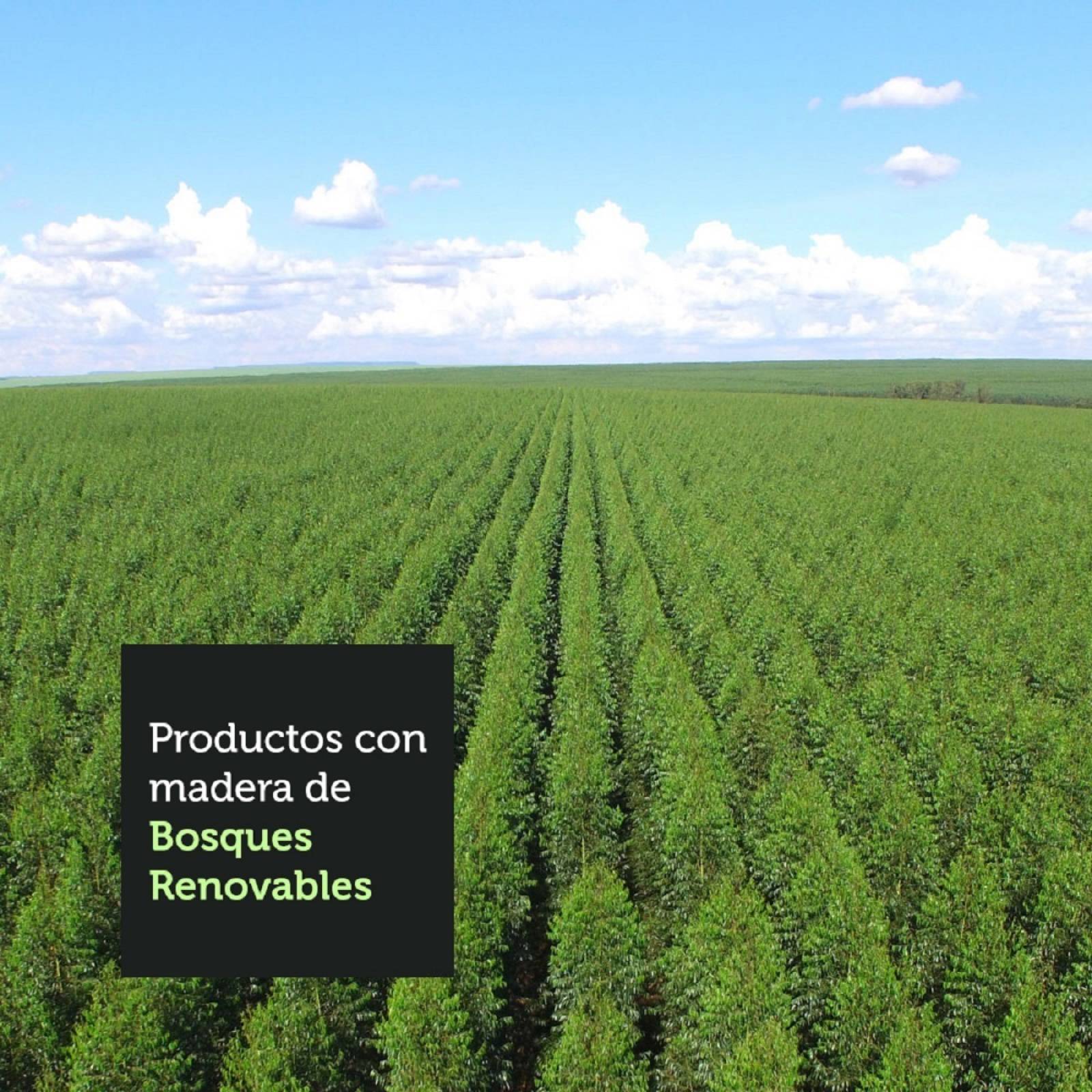 Mueble de Cocina Integral Madesa Glamy Con Mesón De Acero 160 Cm