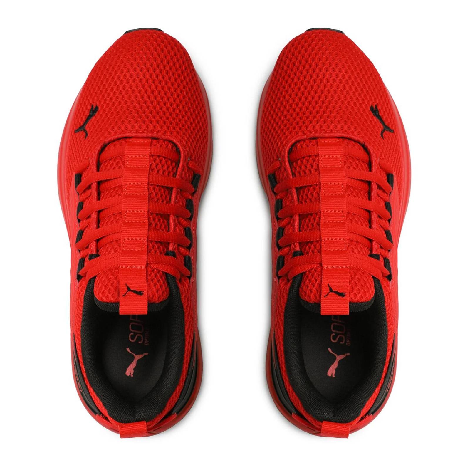 Tenis Puma Caballero Cell Rapid 37787105 