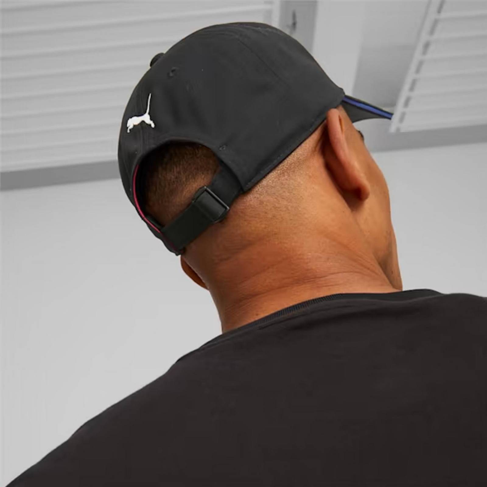 Gorra Puma Mercedes-AMG Petronas Motorsport 02454101 