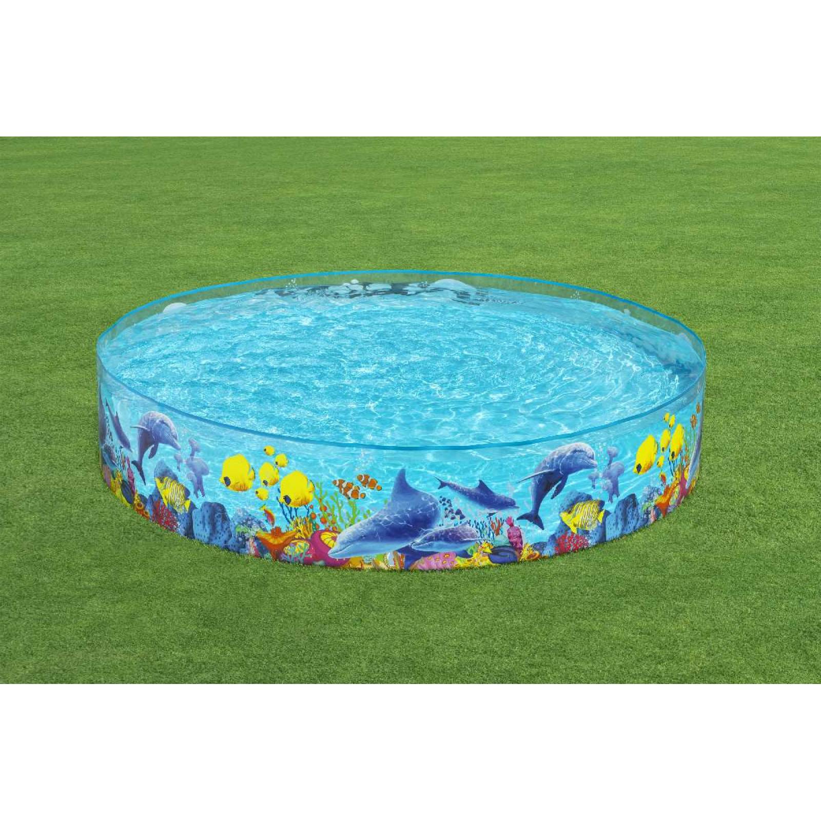 Alberca rigida 2.44x46cm redonda decorada mar caja  1