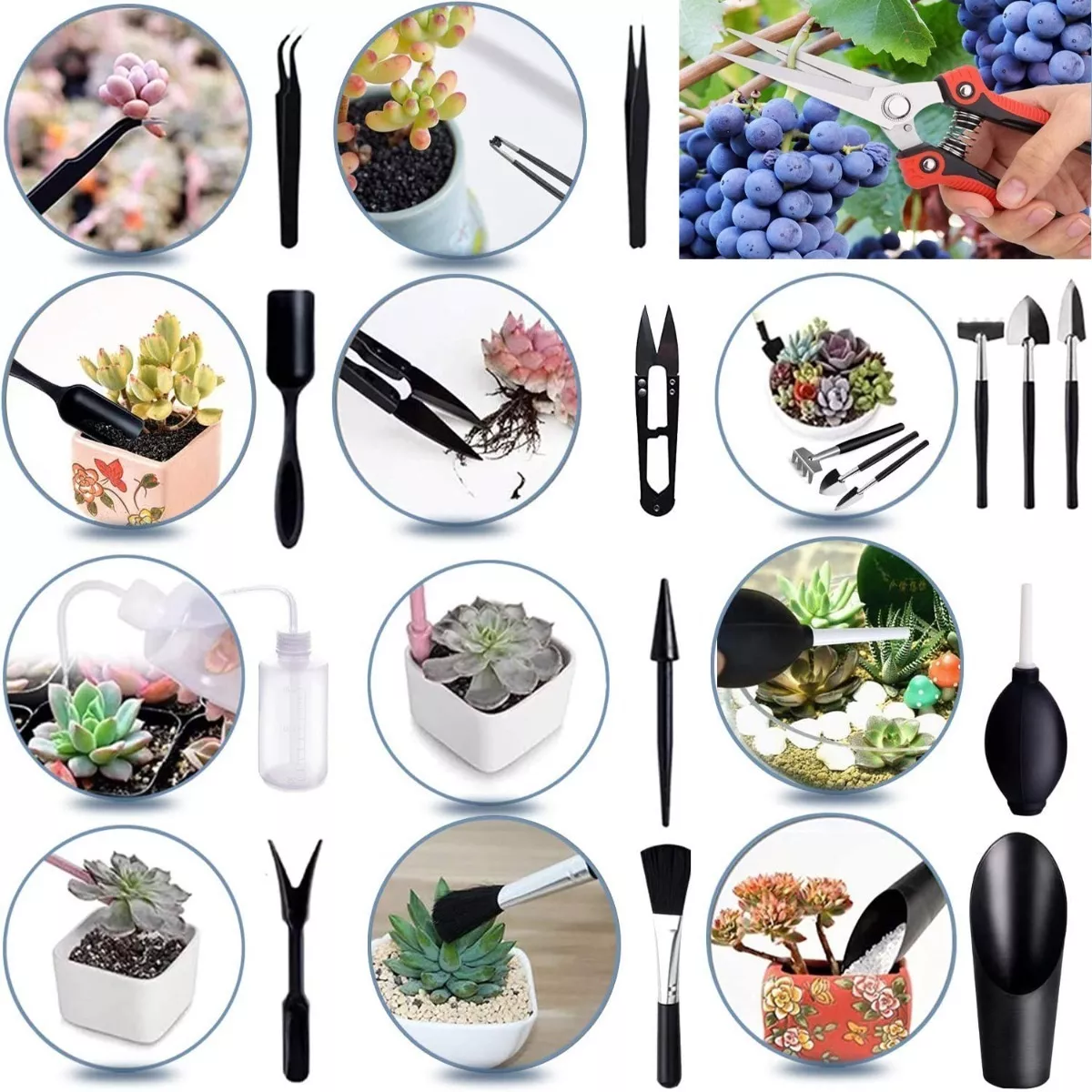 Herramientas Jardín Para Suculenta Con Tijeras De Podar 22pc Negro