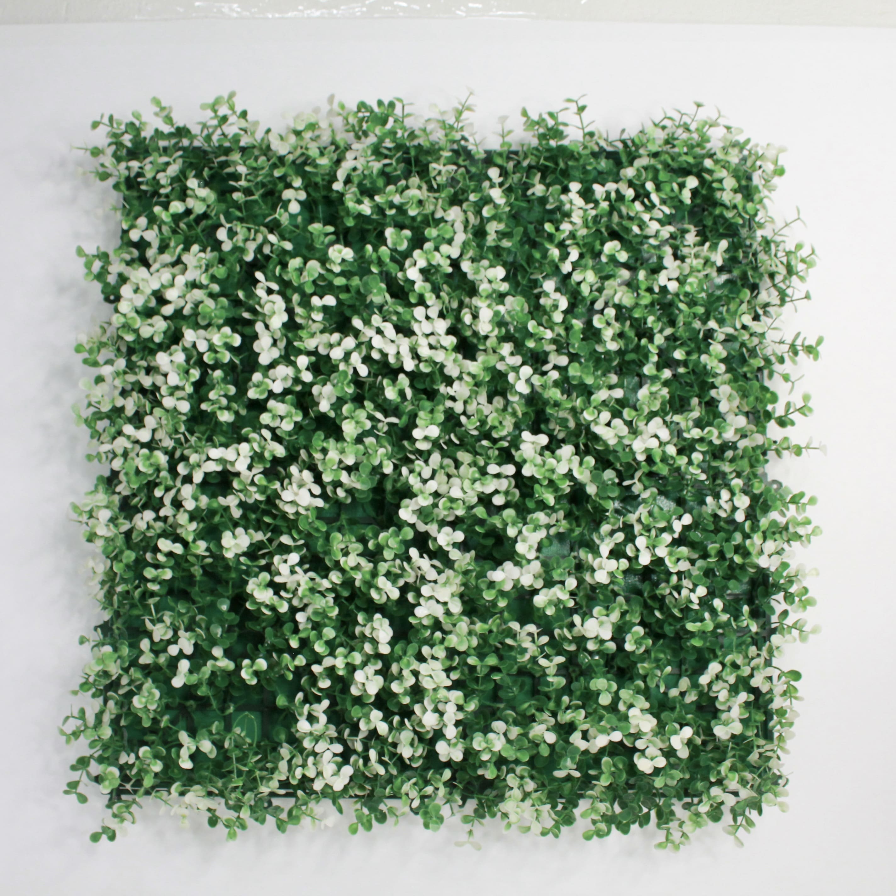 Muro verde arrayan blanco. Follaje Artificial caja de 3 mts2. Decoración Exterior e Interior. Jardin Vertical - Pared Decorativa - Malla Decorativa para Pared - Decoración hogar.