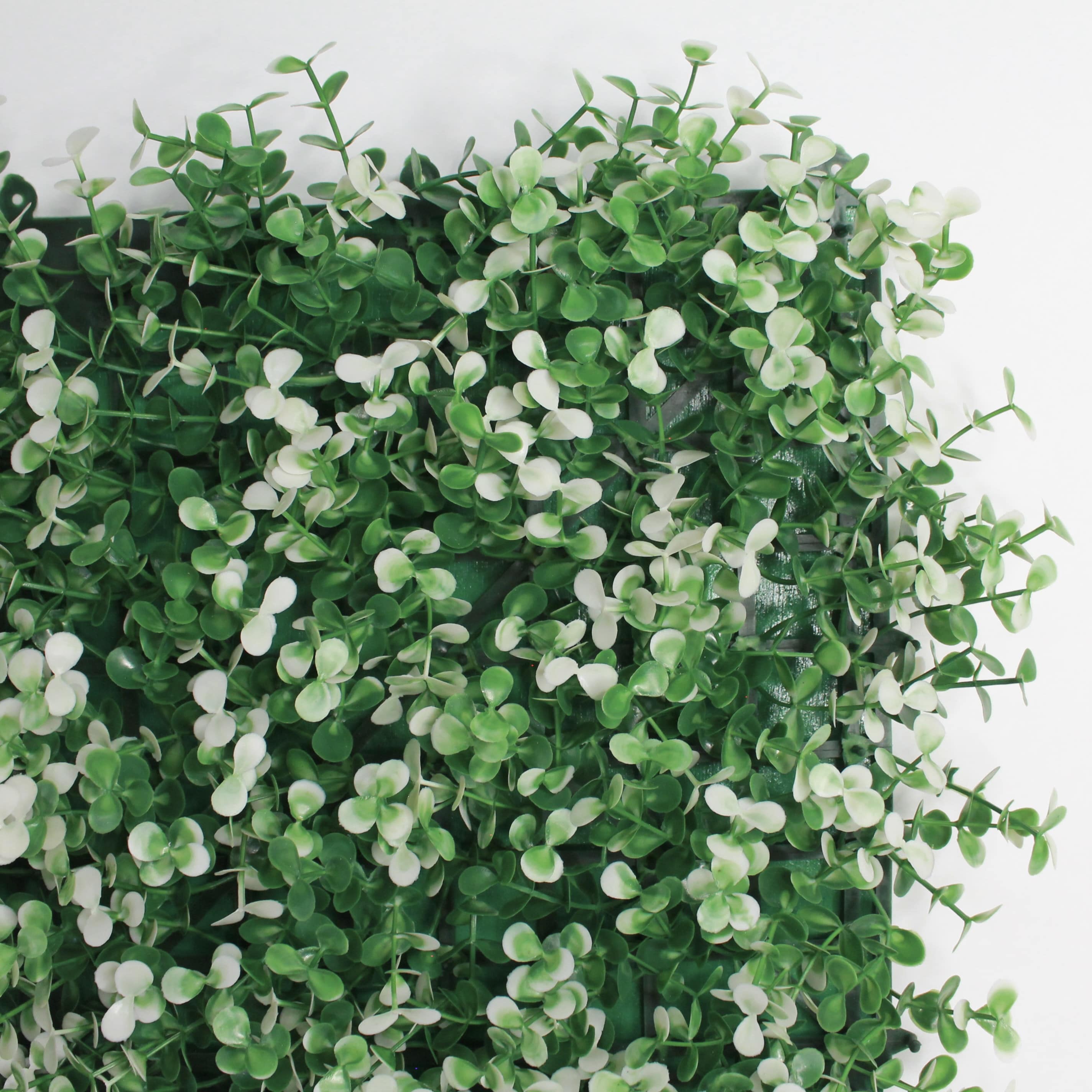 Muro verde arrayan blanco. Follaje Artificial caja de 3 mts2. Decoración Exterior e Interior. Jardin Vertical - Pared Decorativa - Malla Decorativa para Pared - Decoración hogar.