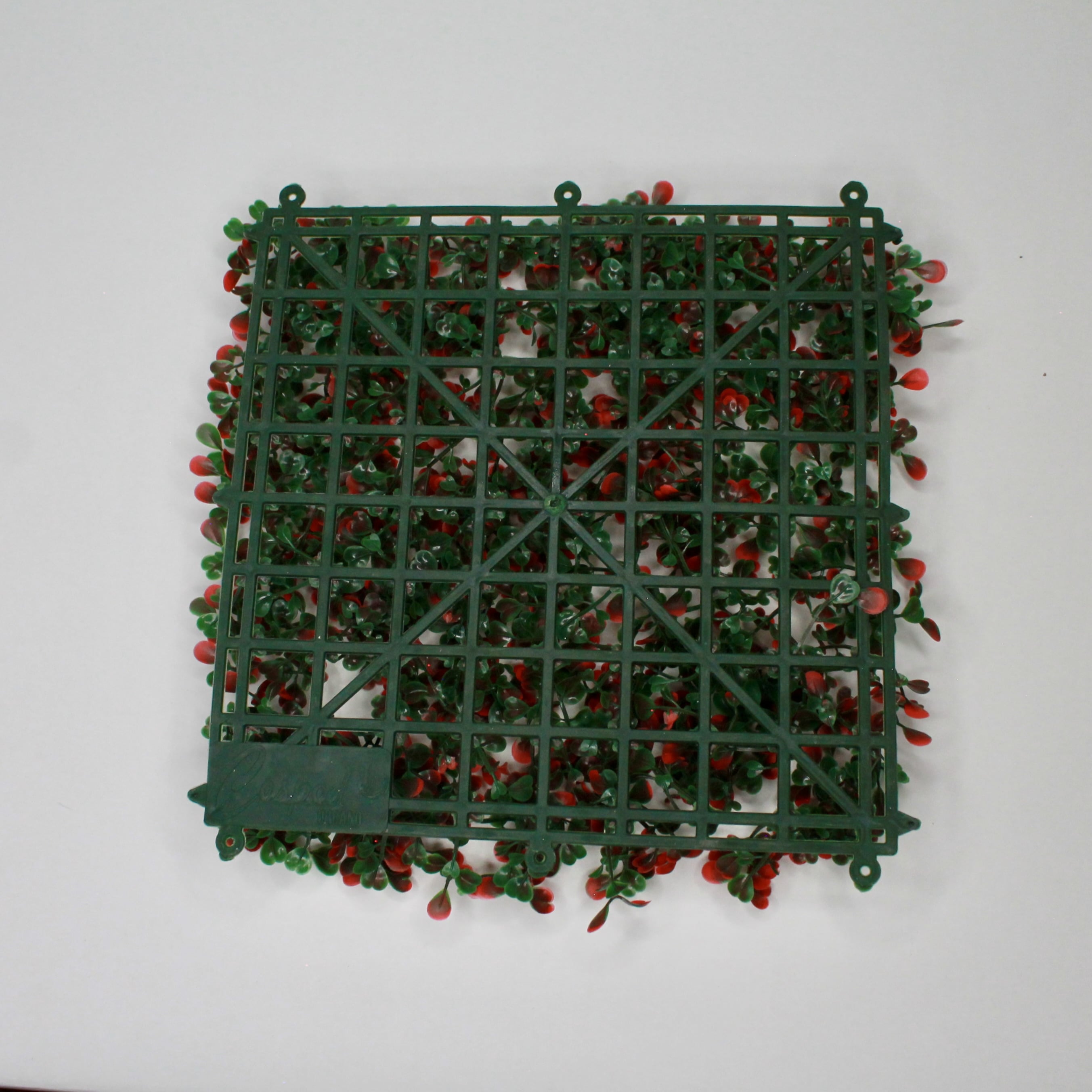 Muro verde Boxwood rojo, Follaje artificial caja con 3 m²