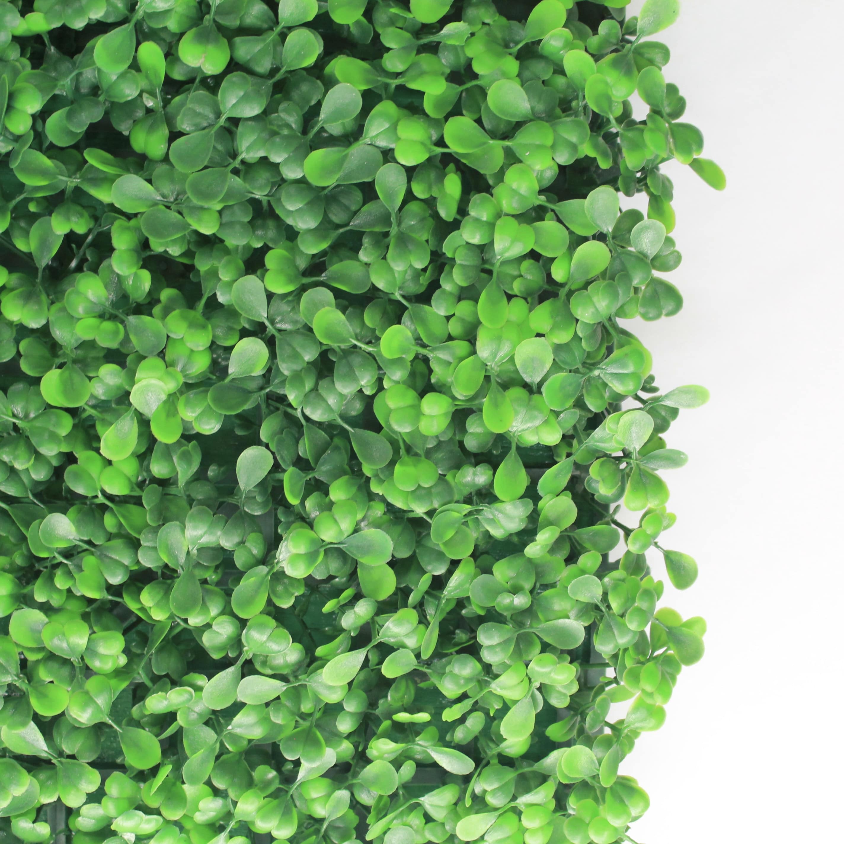 Muro verde Boxwood verde, Follaje artificial caja con 3 m², Decoración exterior e interior. Jardín vertical-Pared decorativa-Malla decorativa para pared-Decoración hogar.