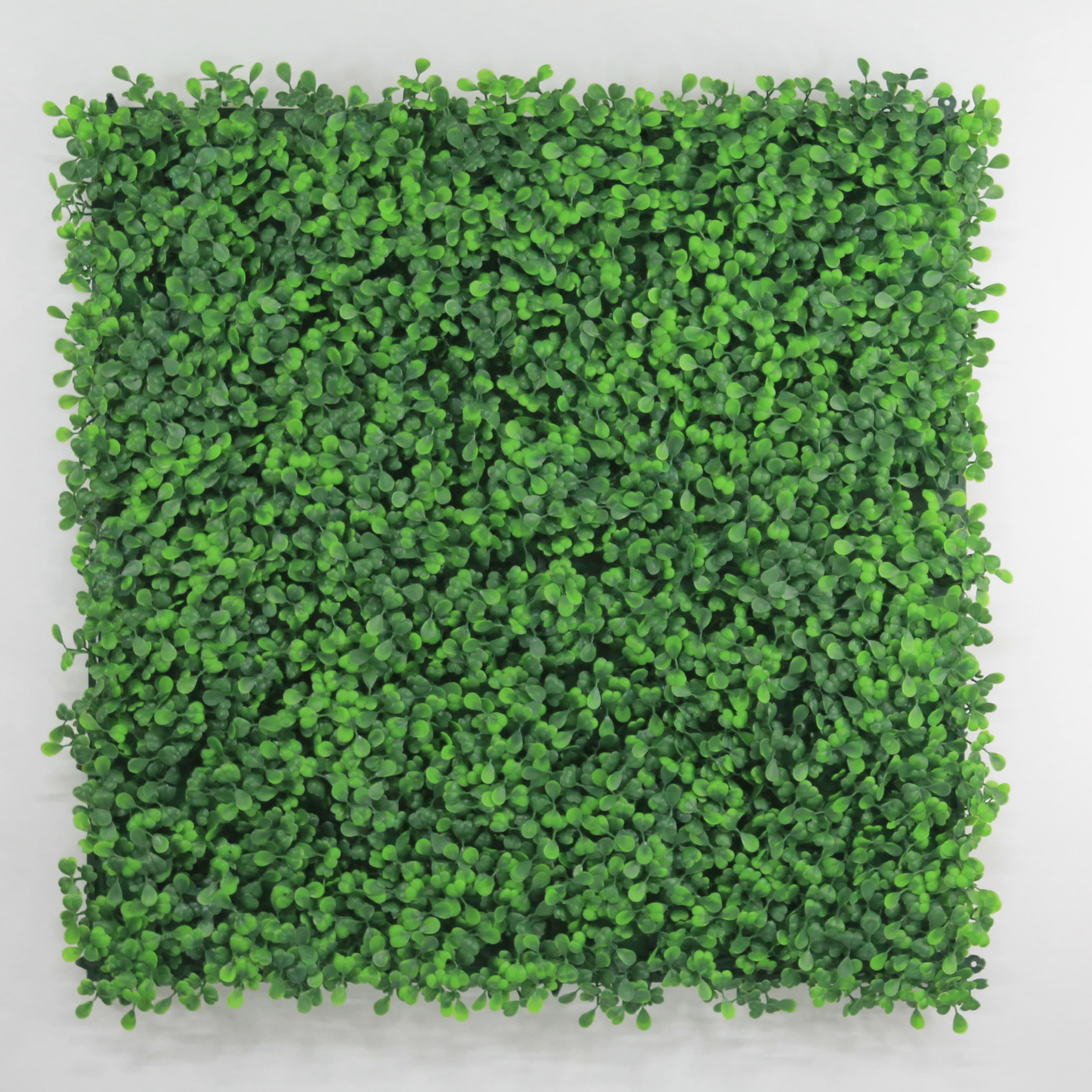 Muro verde Boxwood verde, Follaje artificial caja con 3 m², Decoración exterior e interior. Jardín vertical-Pared decorativa-Malla decorativa para pared-Decoración hogar.