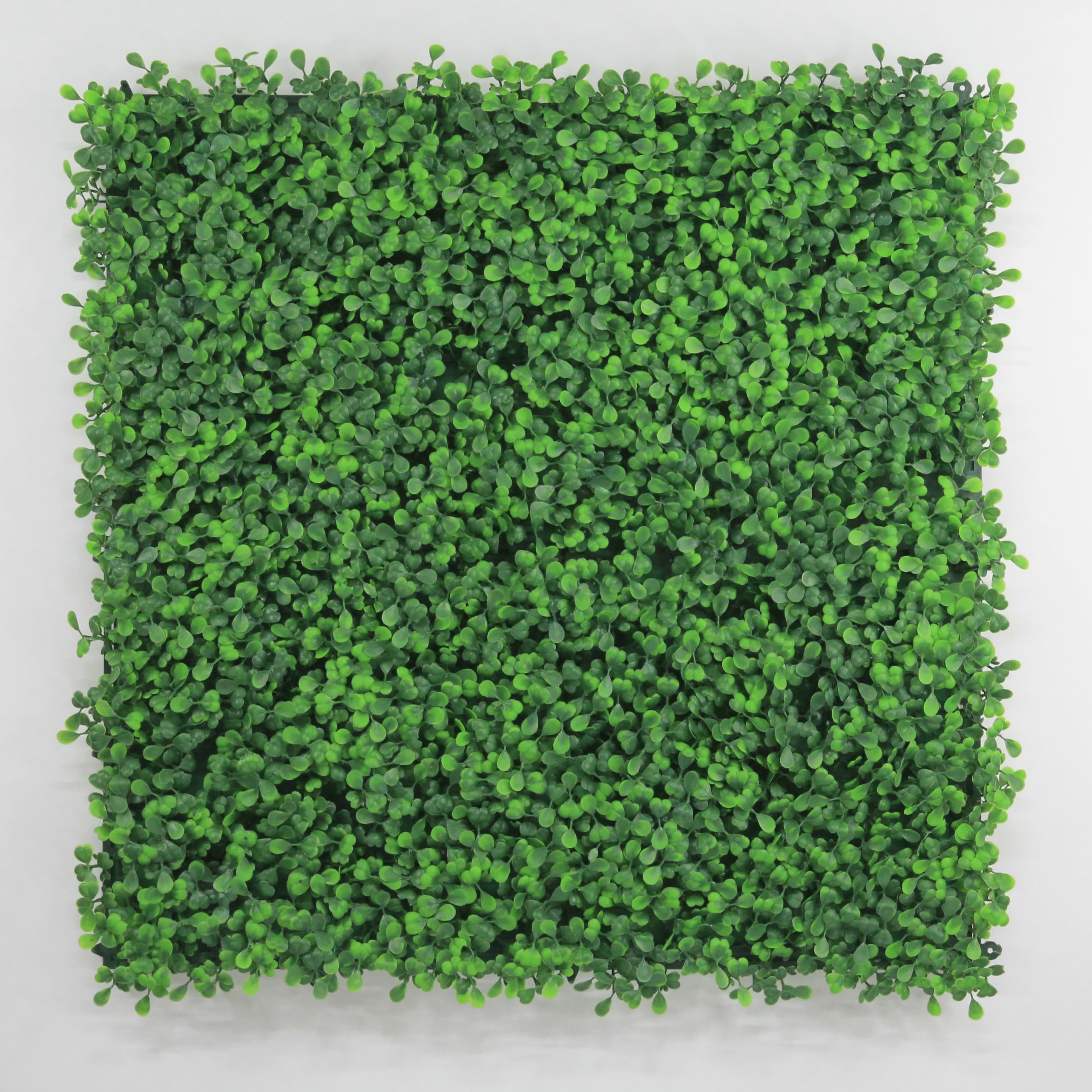 Muro verde Boxwood verde, Follaje artificial caja con 3 m², Decoración exterior e interior. Jardín vertical-Pared decorativa-Malla decorativa para pared-Decoración hogar.