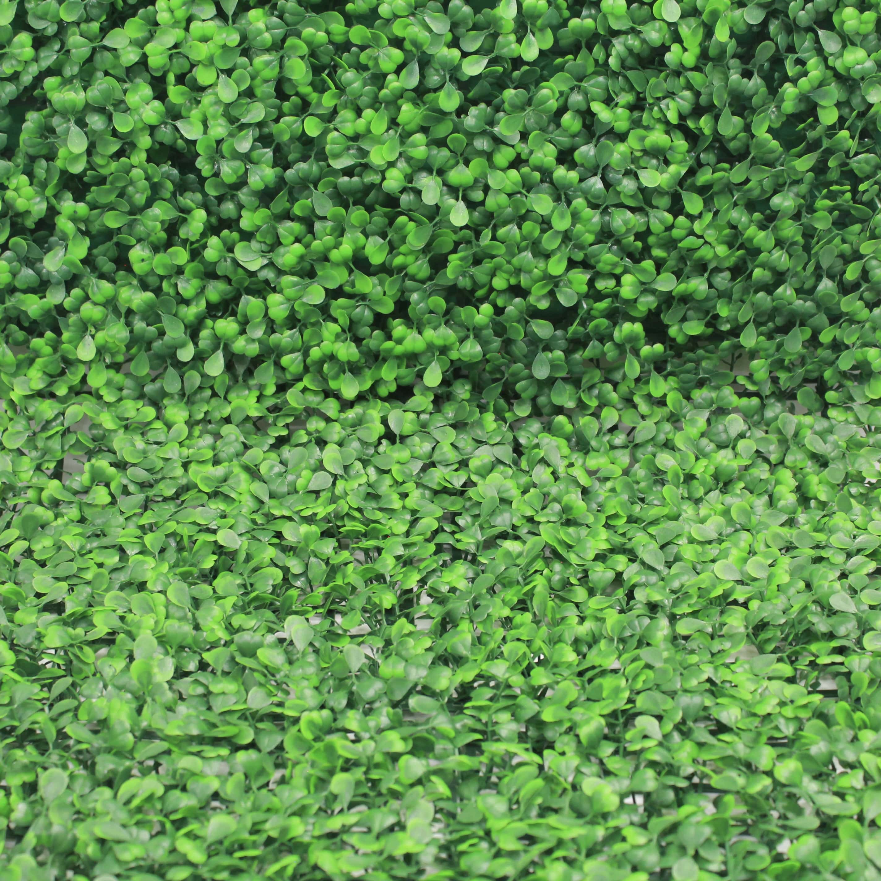 Muro verde Boxwood verde, Follaje artificial caja con 3 m², Decoración exterior e interior. Jardín vertical-Pared decorativa-Malla decorativa para pared-Decoración hogar.