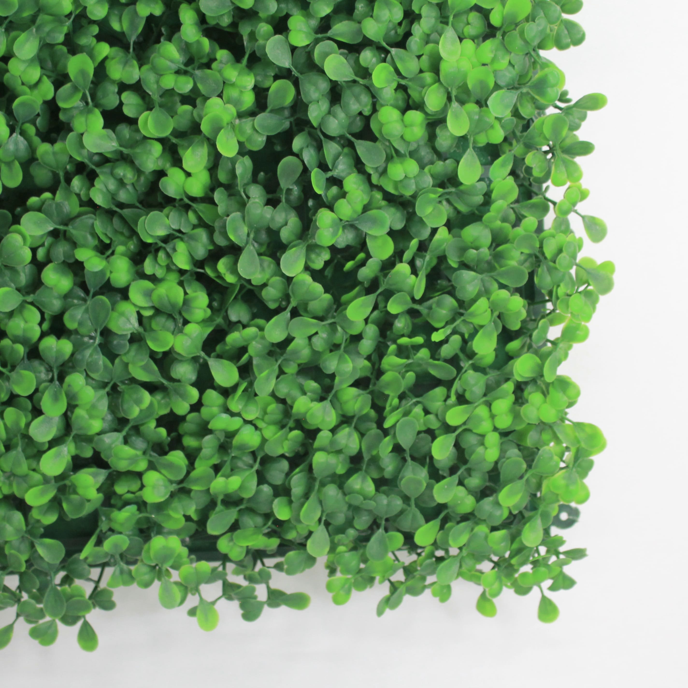 Muro verde Boxwood verde, Follaje artificial caja con 3 m², Decoración exterior e interior. Jardín vertical-Pared decorativa-Malla decorativa para pared-Decoración hogar.