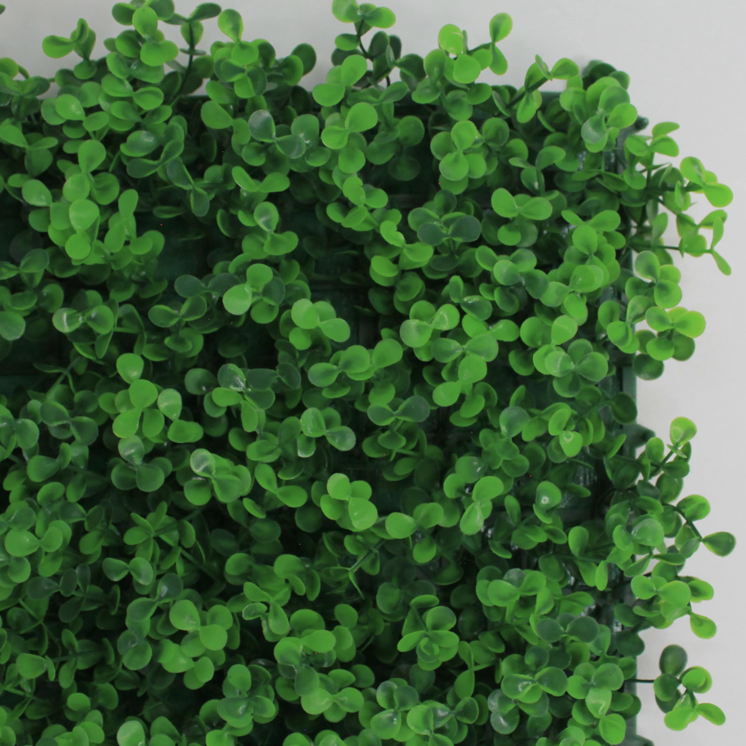 Muro verde Arrayan verde, Follaje artificial caja con 3 m², Decoración exterior e interior. Jardín vertical-Pared decorativa-Malla decorativa para pared-Decoración hogar.