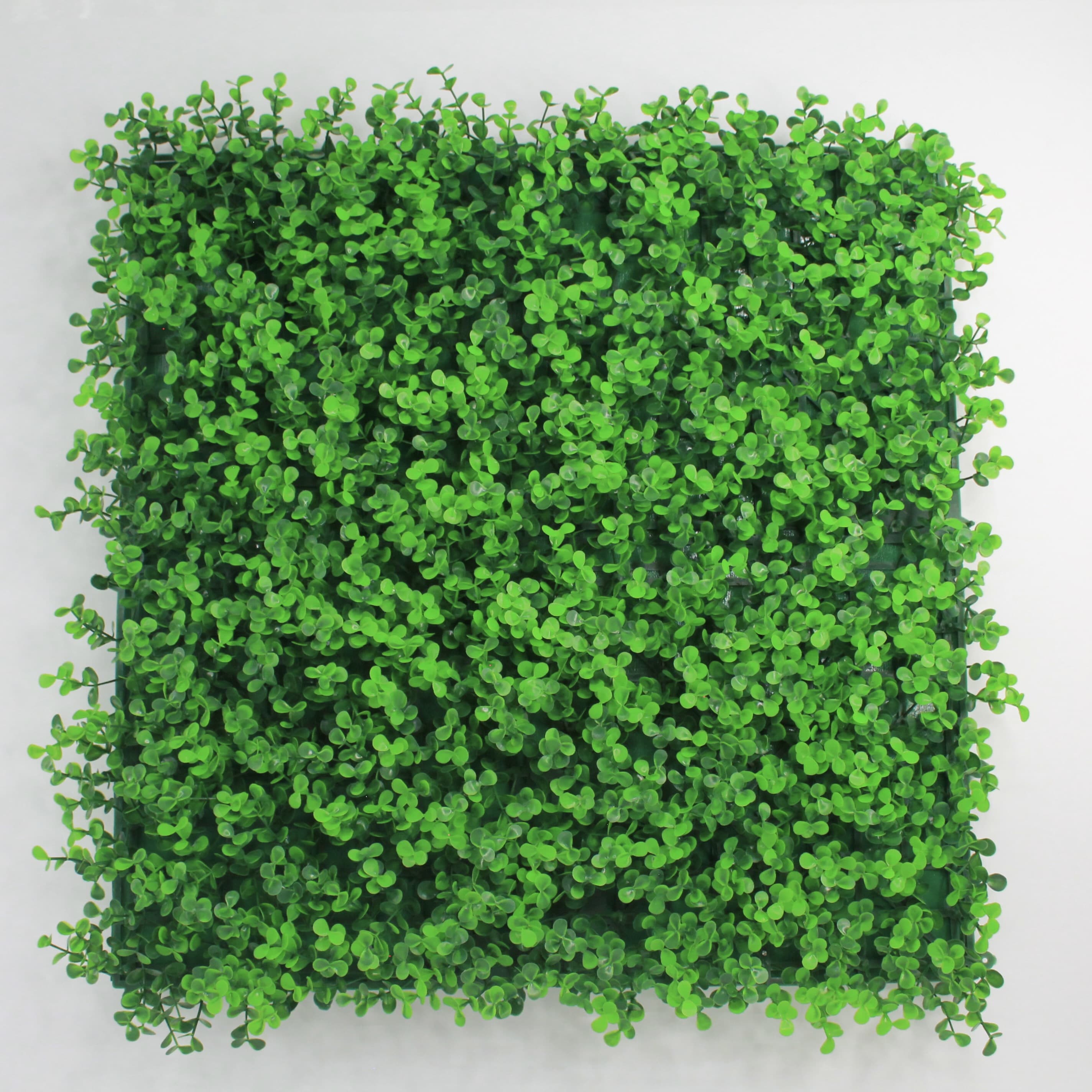 Muro verde Arrayan verde, Follaje artificial caja con 3 m², Decoración exterior e interior. Jardín vertical-Pared decorativa-Malla decorativa para pared-Decoración hogar.