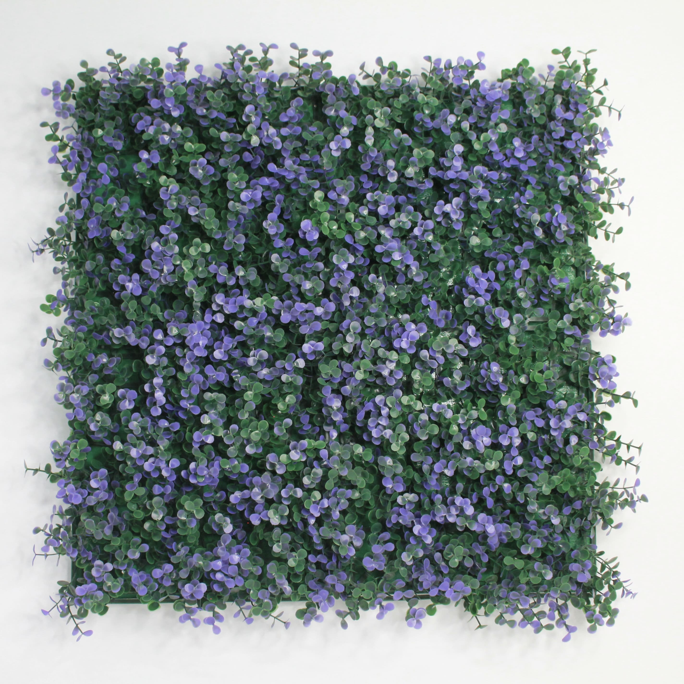 Muro verde Arrayan morado, Follaje artificial caja con 3 m², Decoración exterior e interior. Jardín vertical-Pared decorativa-Malla decorativa para pared-Decoración hogar.