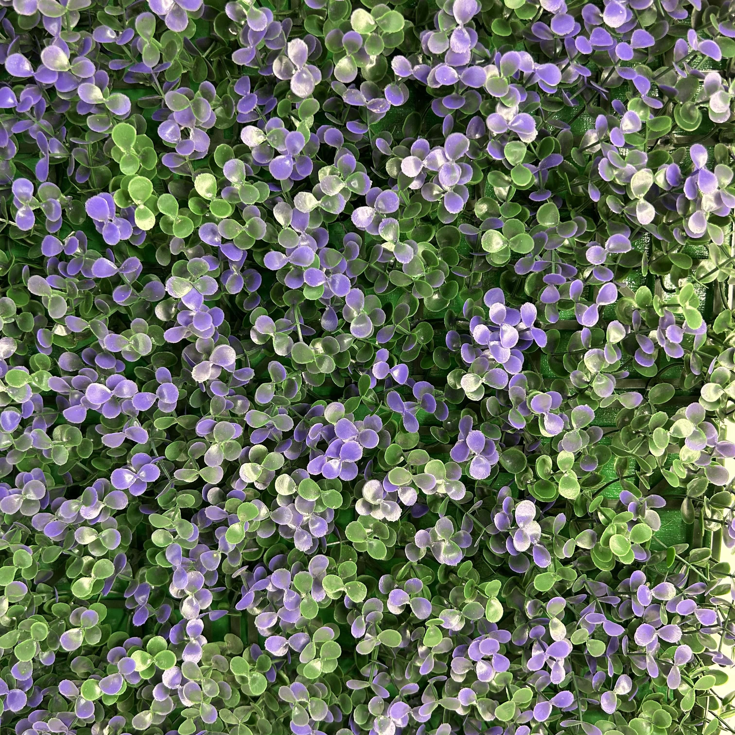 Muro verde Arrayan morado, Follaje artificial caja con 3 m², Decoración exterior e interior. Jardín vertical-Pared decorativa-Malla decorativa para pared-Decoración hogar.
