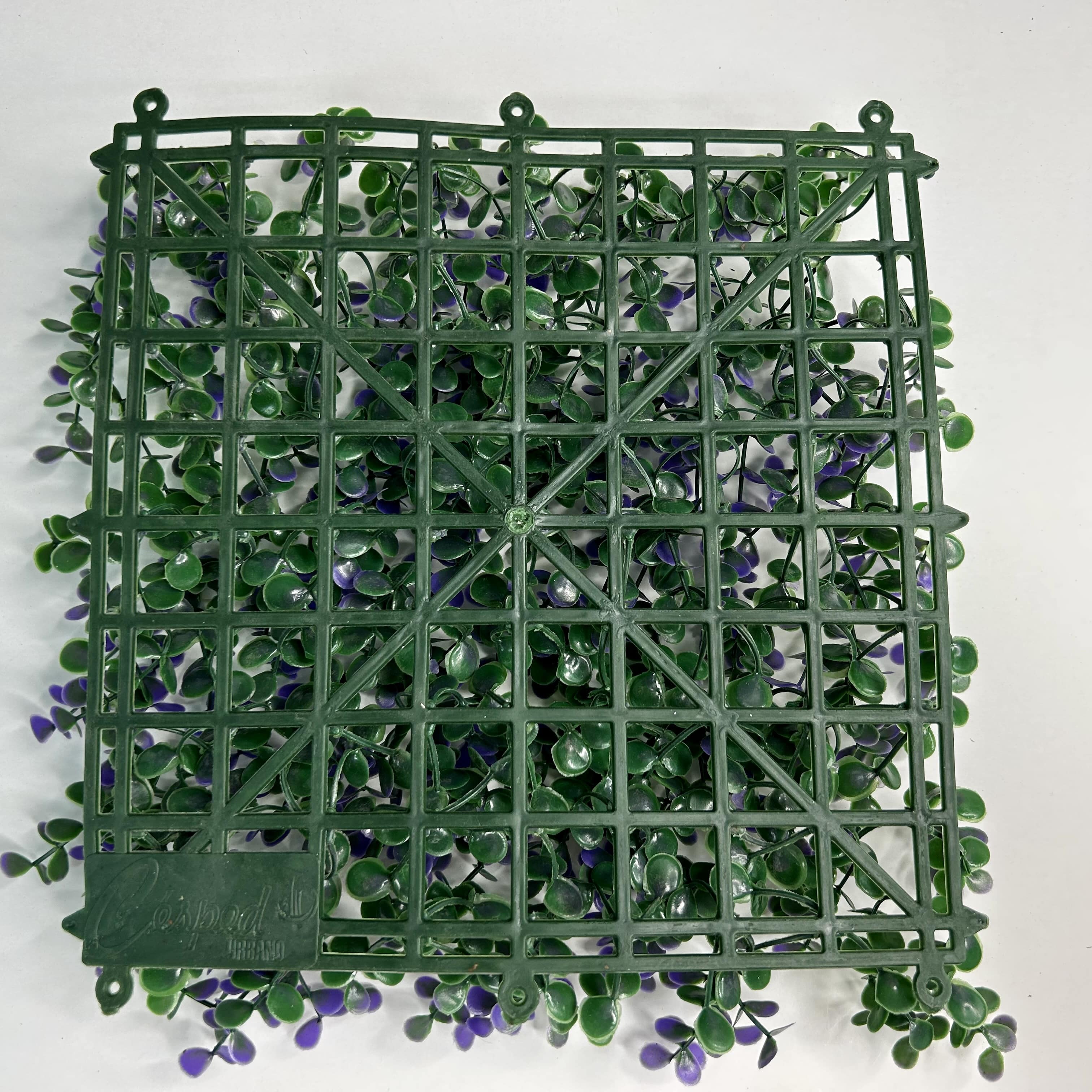 Muro verde Arrayan morado, Follaje artificial caja con 3 m², Decoración exterior e interior. Jardín vertical-Pared decorativa-Malla decorativa para pared-Decoración hogar.