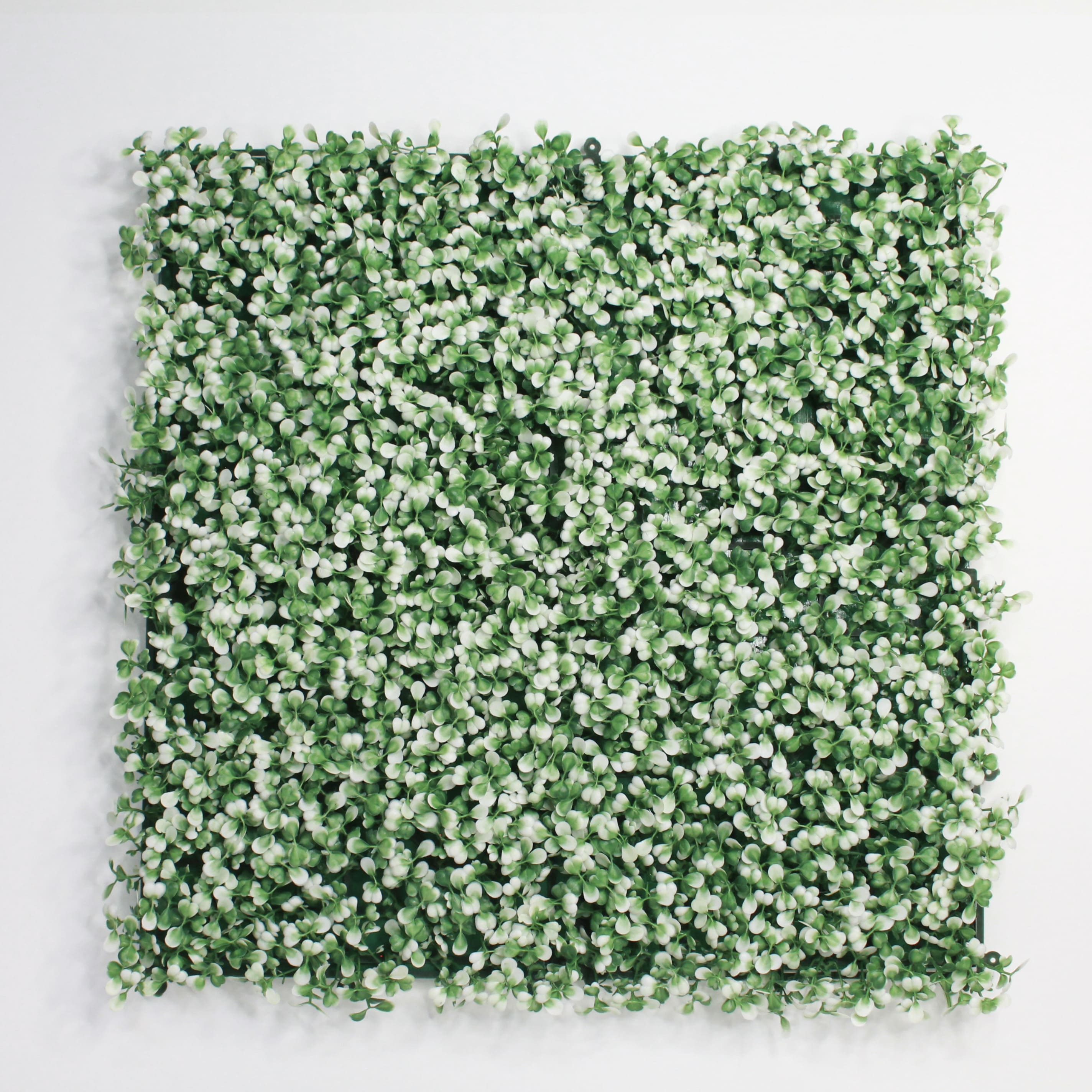 Muro verde Boxwood blanco, Follaje artificial caja con 3 m², Decoración exterior e interior. Jardín vertical-Pared decorativa-Malla decorativa para pared-Decoración hogar.