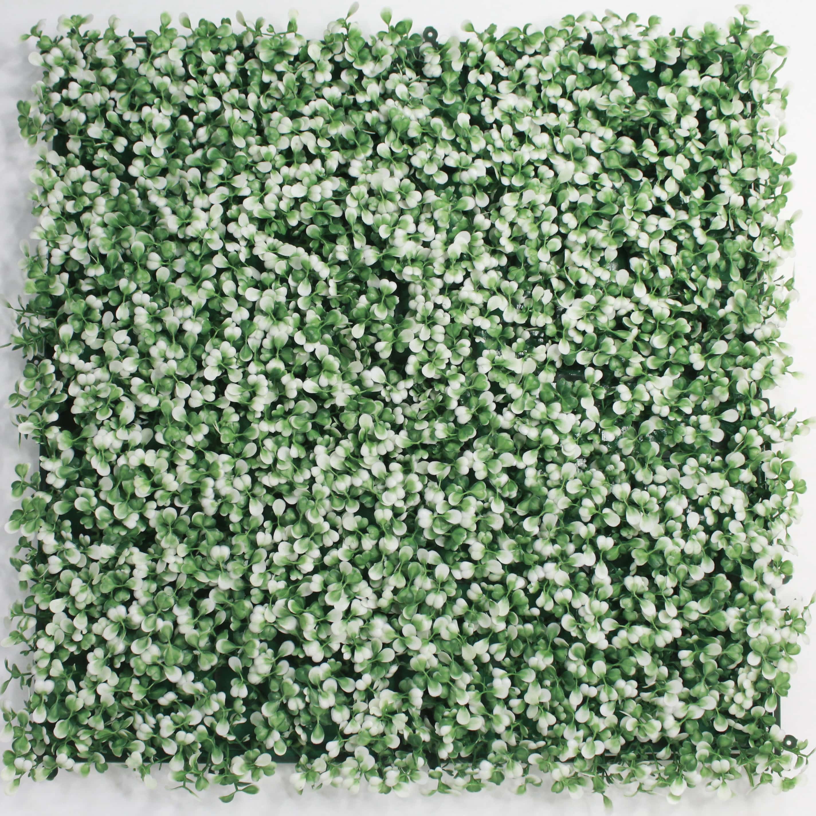 Muro verde Boxwood blanco, Follaje artificial caja con 3 m², Decoración exterior e interior. Jardín vertical-Pared decorativa-Malla decorativa para pared-Decoración hogar.